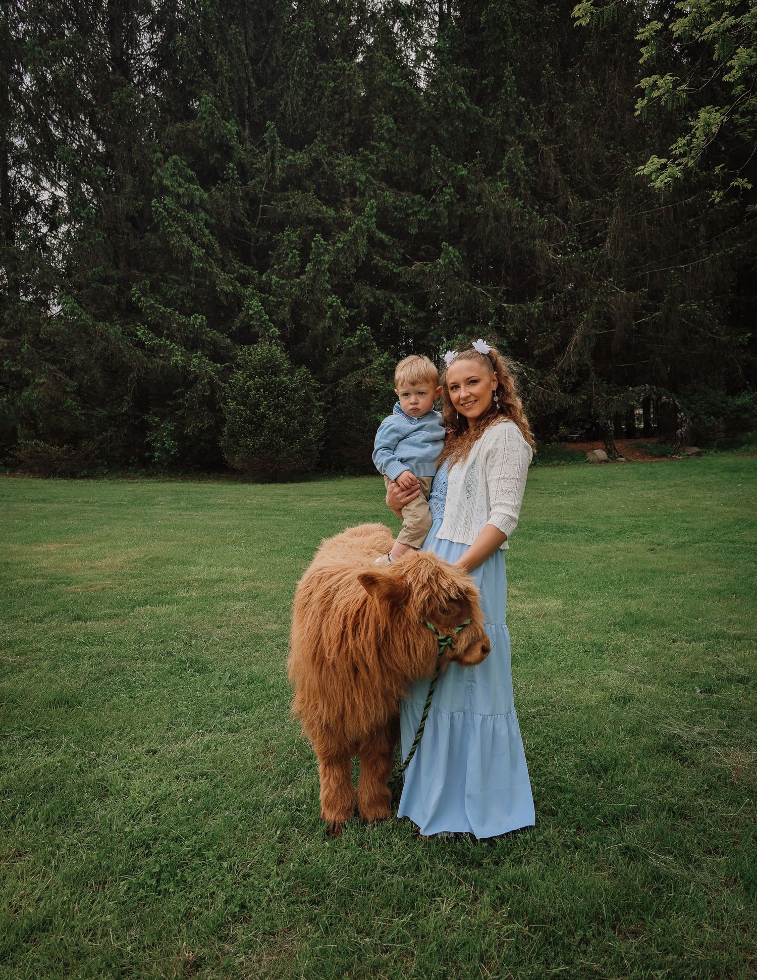 A woman in a blue dress interacts with a Highland cow on a grassy field at sunset.