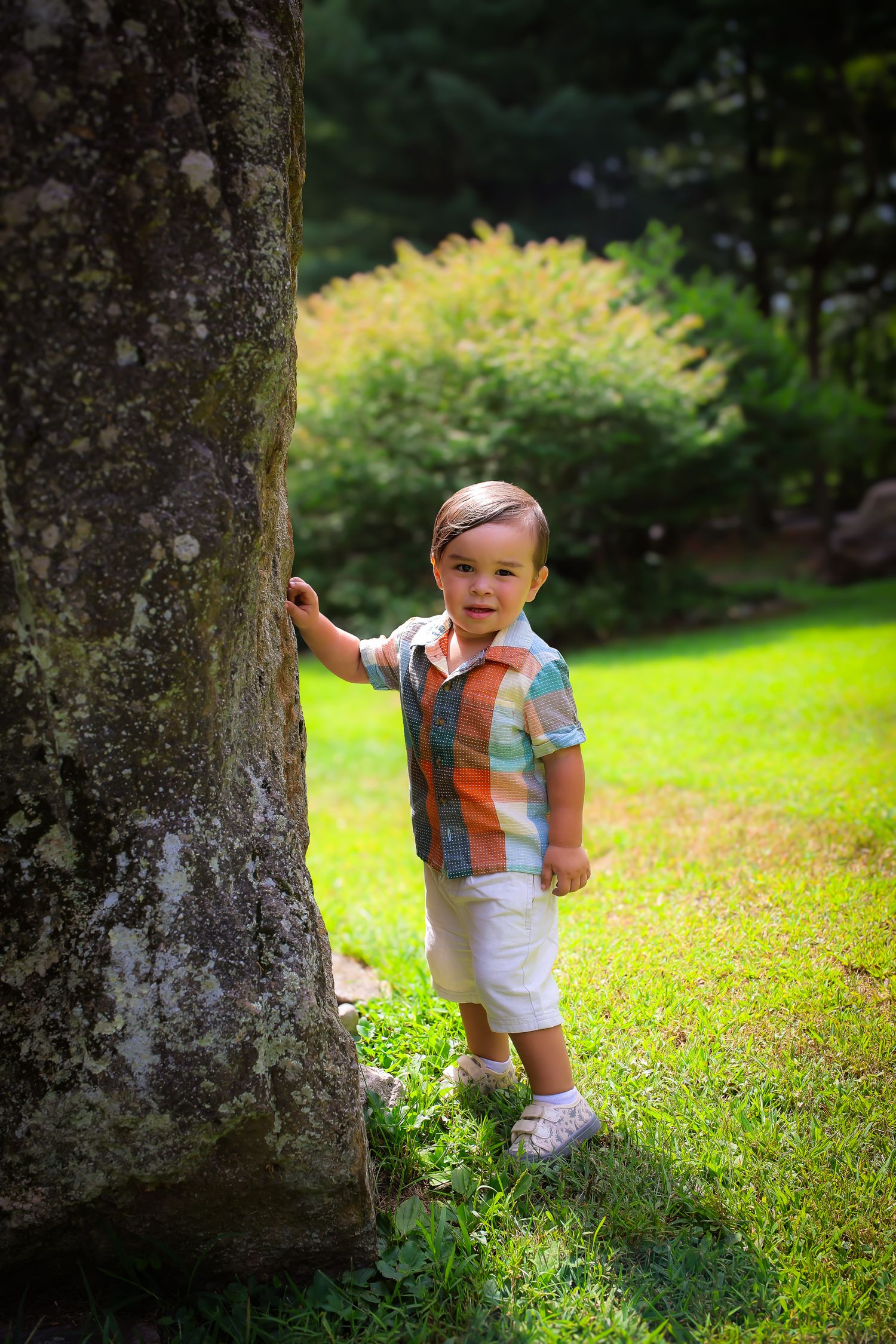 A small child stands next to a large tree trunk in a sunny garden wearing a colorful striped shirt and white shorts.