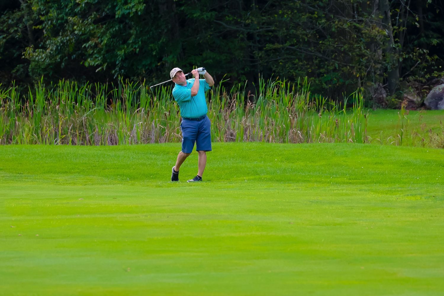 Golfers practice their putting skills on a lush green golf course during a sunny day.