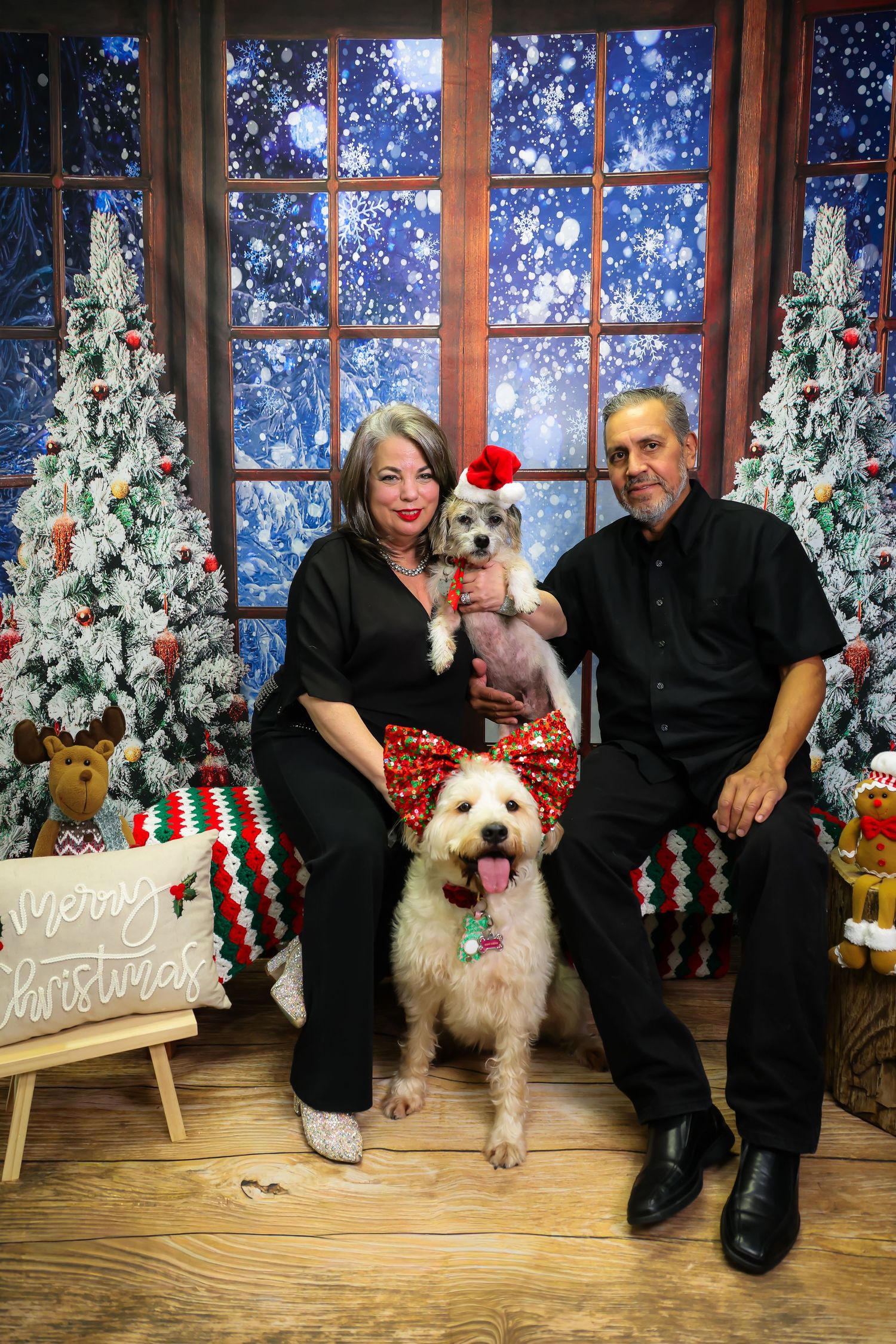 Couple in black outfits pose with two dogs amid Christmas trees and festive decor for a holiday portrait.