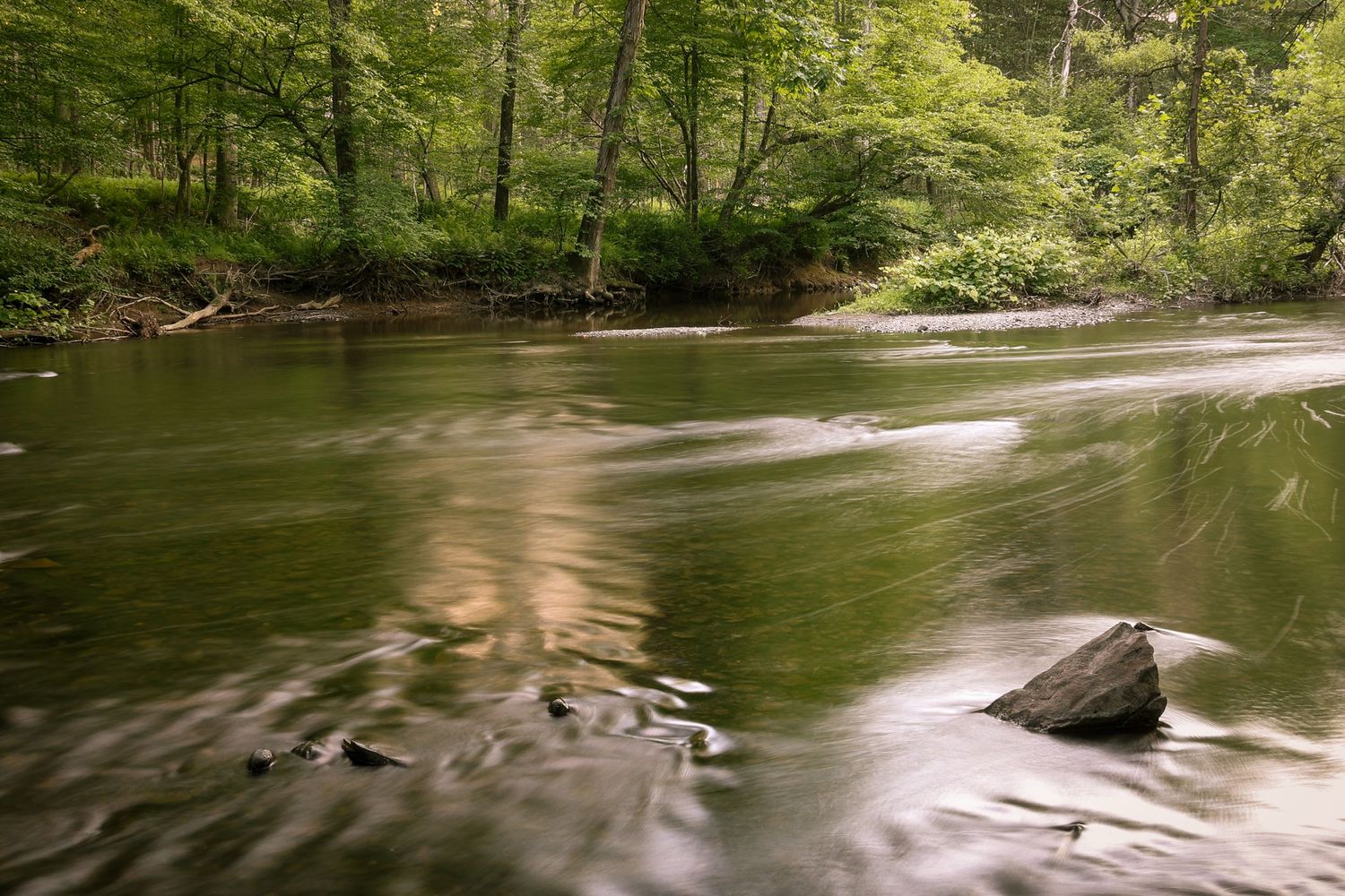 Long exposure shot of a flowing forest stream with smooth water motion and rocks in West Virginia's woodland setting.