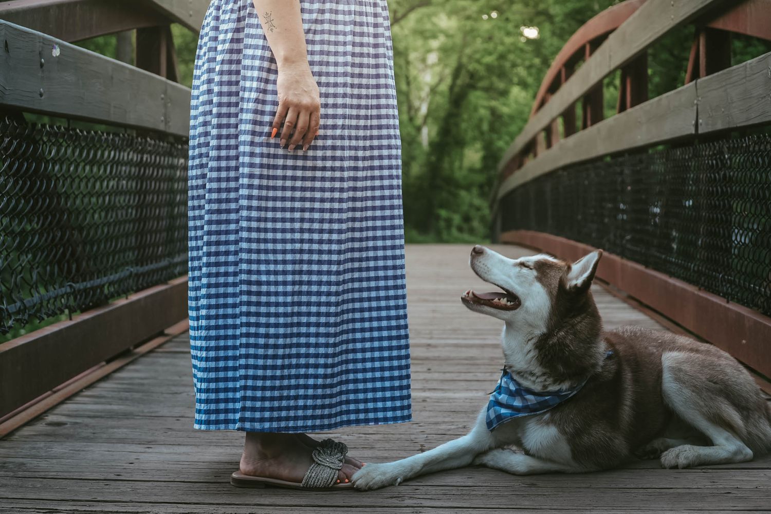 A Siberian Husky wearing a bandana lies on a wooden bridge beside a woman in a blue gingham maxi dress.
