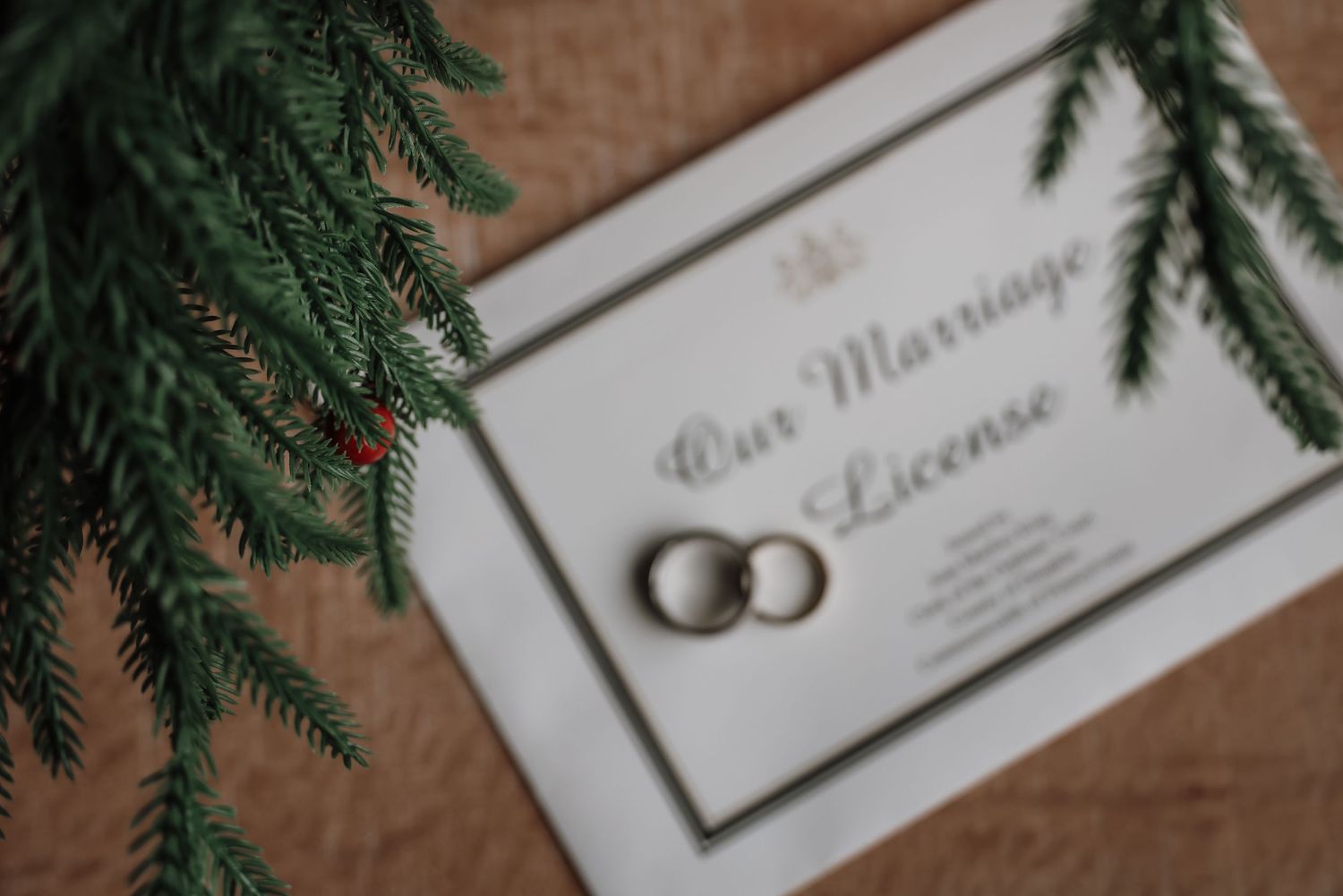 Handwritten text reading 'Let's document your story' with decorative evergreen sprigs.