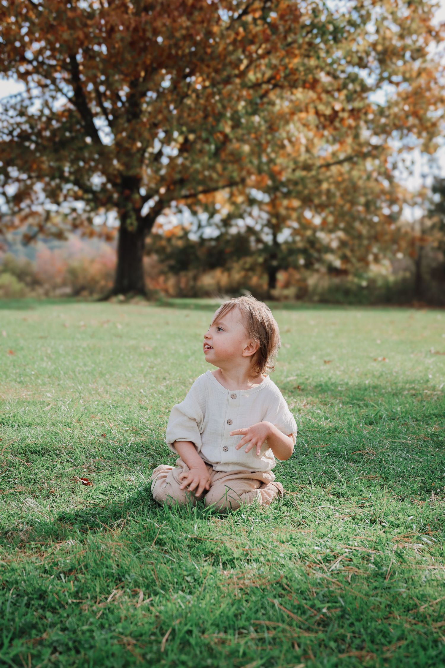 A small child sits on a grassy hill during autumn with fall foliage trees in the background.