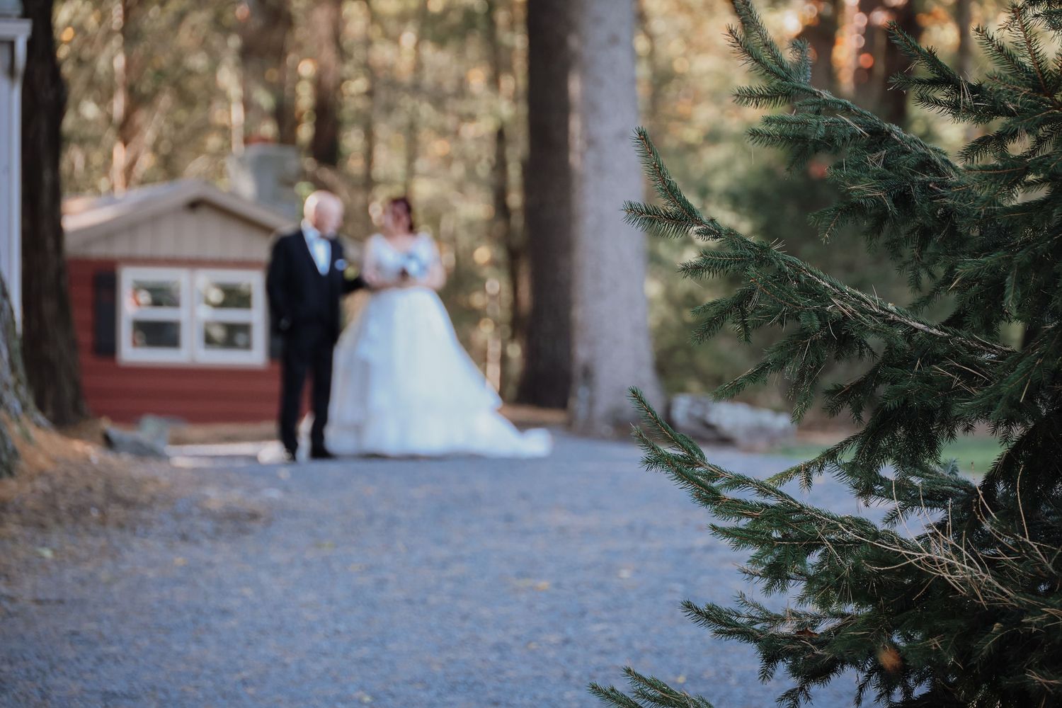 A bride and groom walk hand in hand down a tree-lined path during their winter wedding celebration.