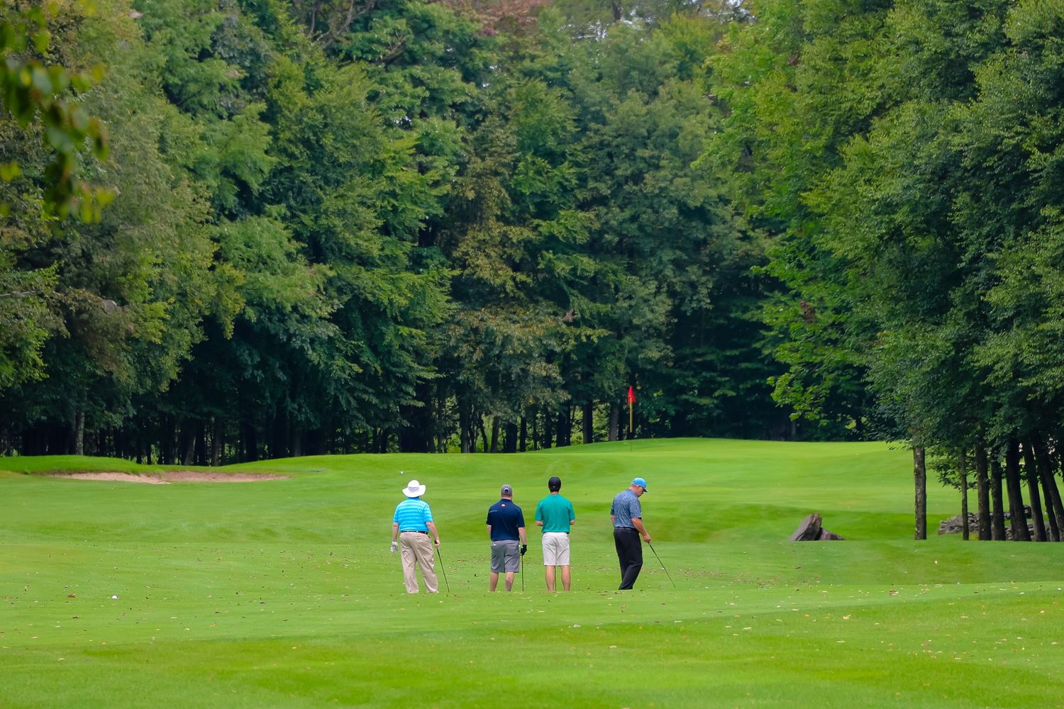 Golfers walking along a lush green fairway surrounded by tall trees on a scenic golf course.