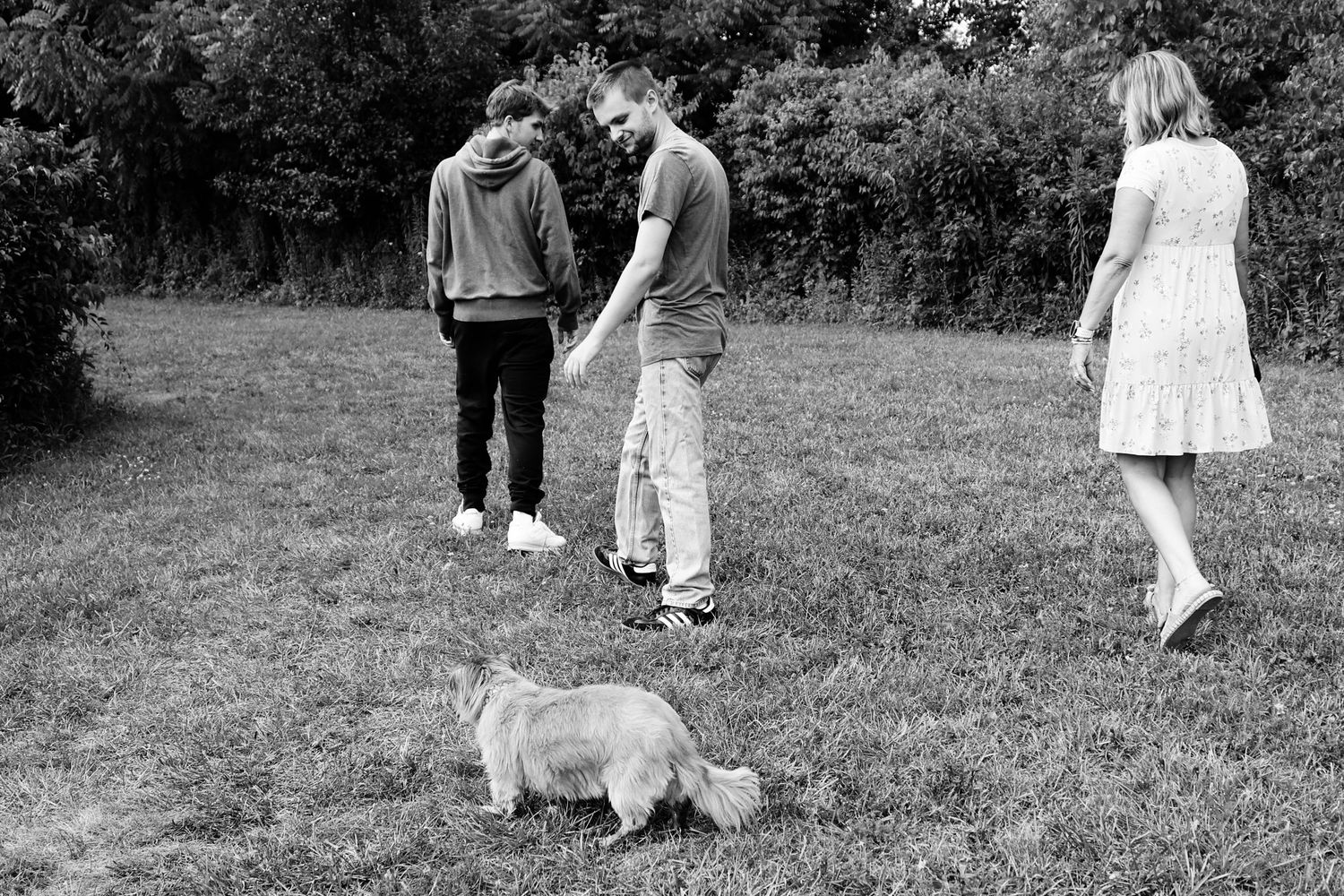 A series of black and white photos showing people and dogs playing together in a grassy outdoor setting.