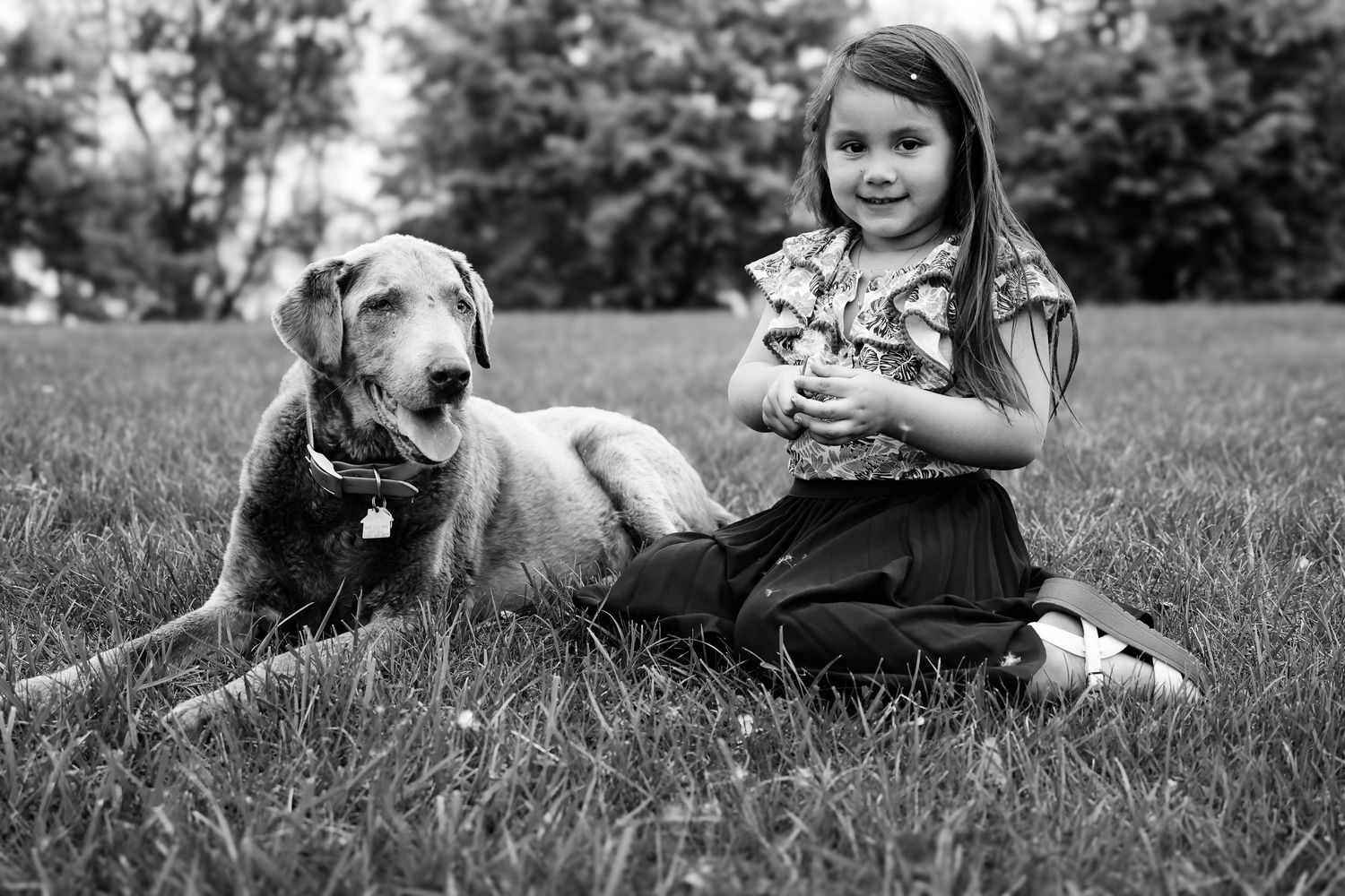 A collage of black and white photos showing people relaxing in grass with their dogs on a sunny day.