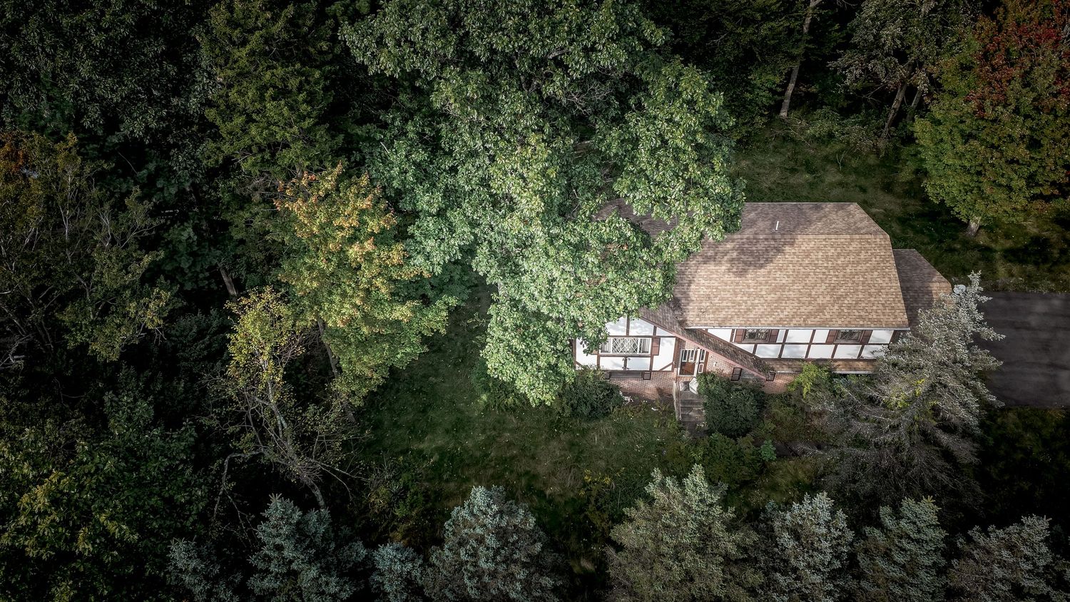 A panoramic aerial view of a lush green forest landscape with dense tree canopy stretching to the horizon.