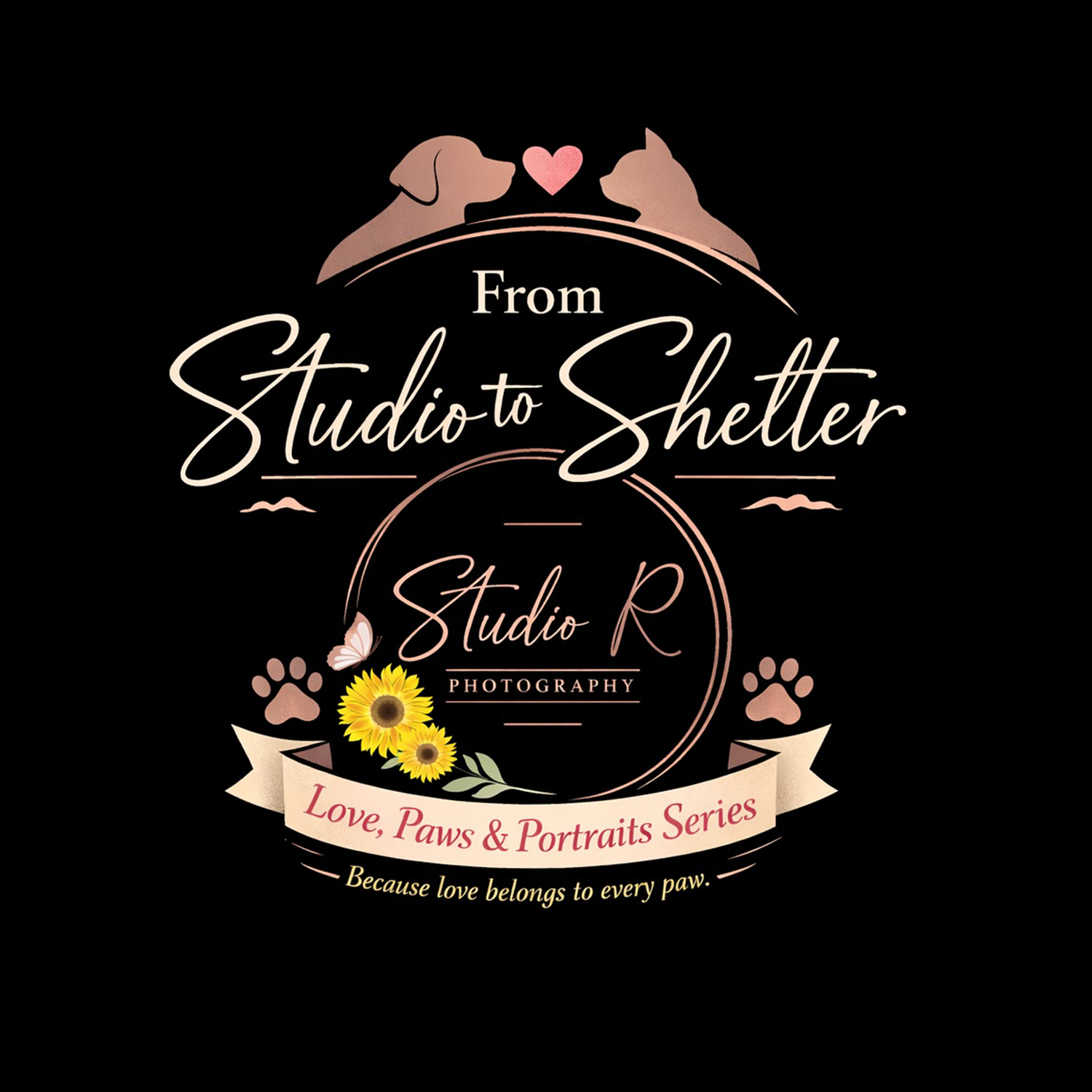 Collection of elegant photography studio logos in black and pink featuring bird silhouettes and decorative text designs.