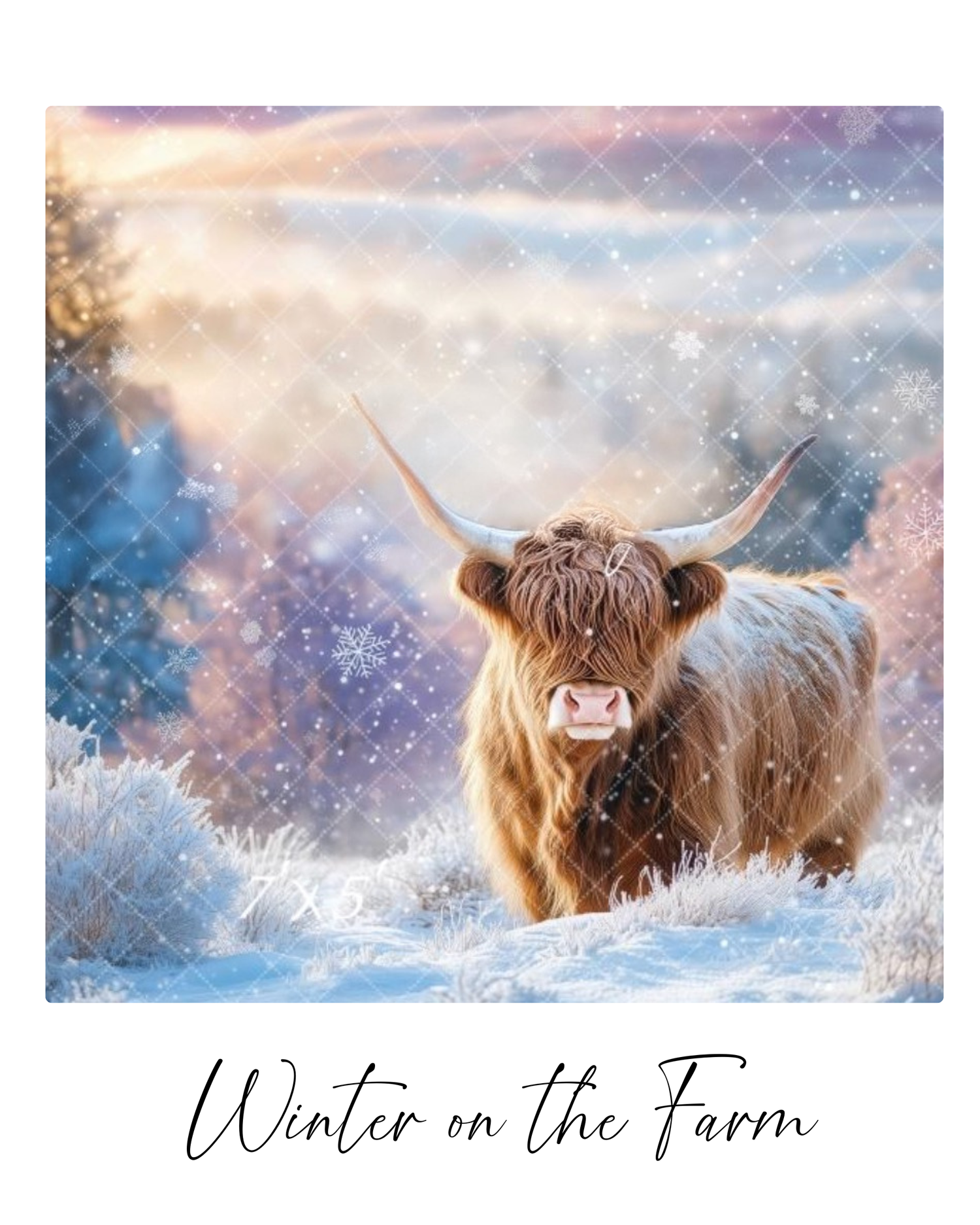 Highland cattle graze in a snowy winter landscape with ethereal sunlight filtering through frosty air.