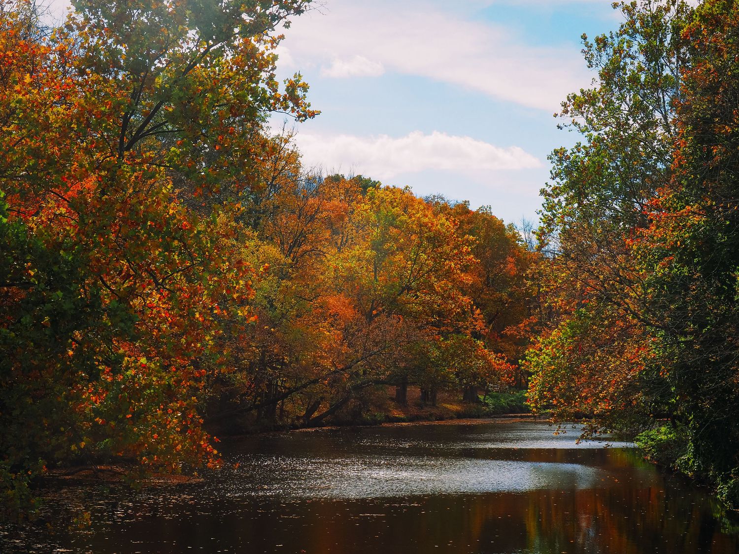 Panoramic view of a serene river winding through colorful fall forest with golden trees reflecting in calm water.