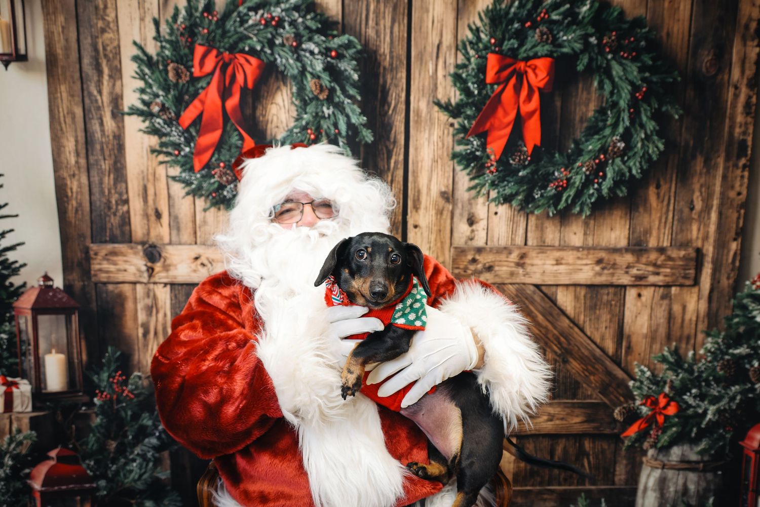Christmas scene with evergreen wreaths adorned with red bows hanging against rustic wooden wall.