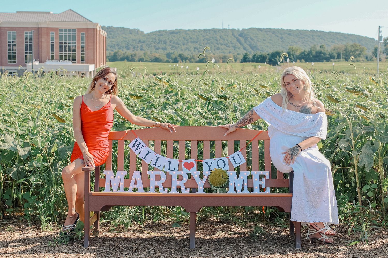 A series of photos showing a banner being held up in a sunflower field that reads 'MARRY ME' for a marriage proposal.