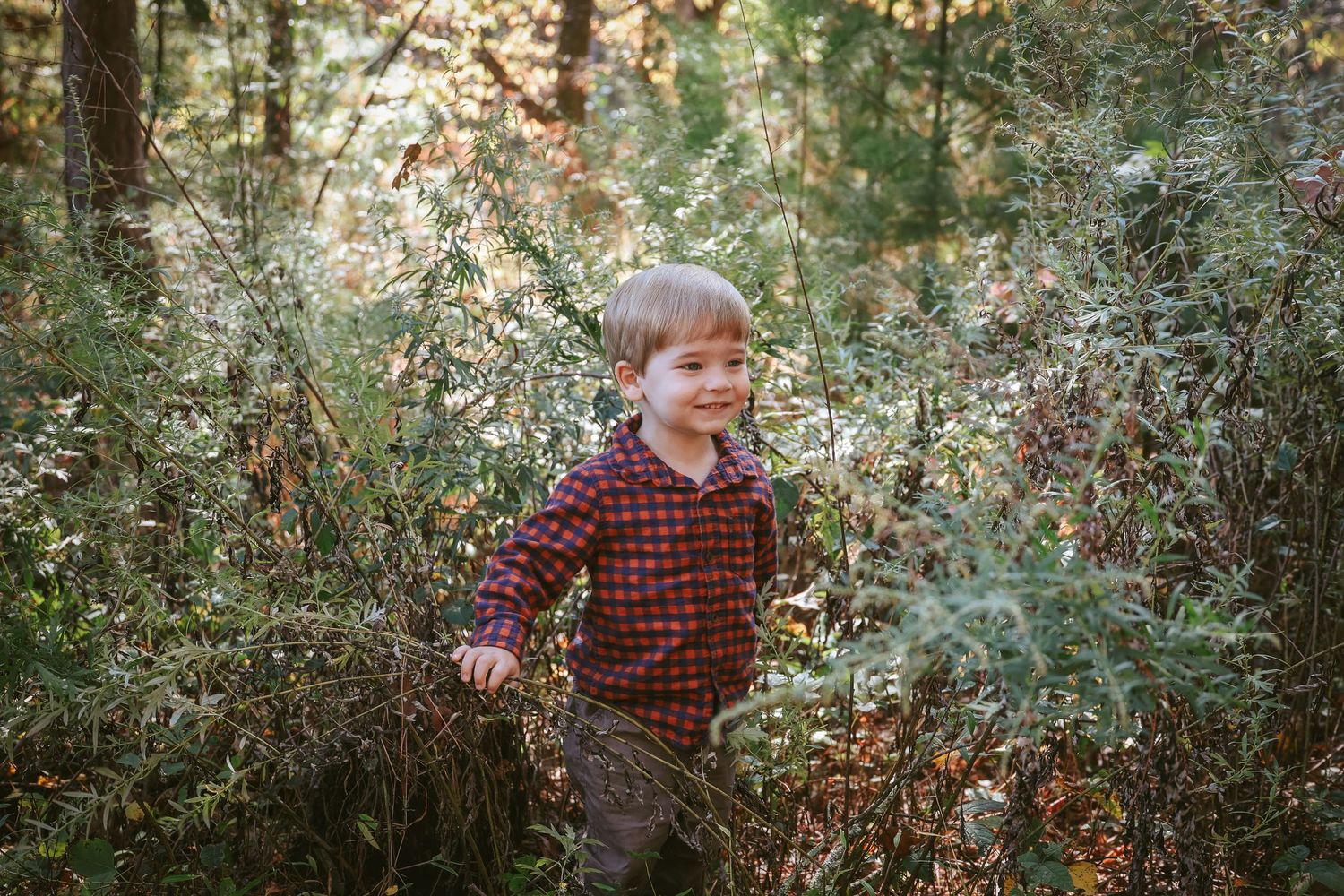 Children playing and exploring among trees in a forest setting.
