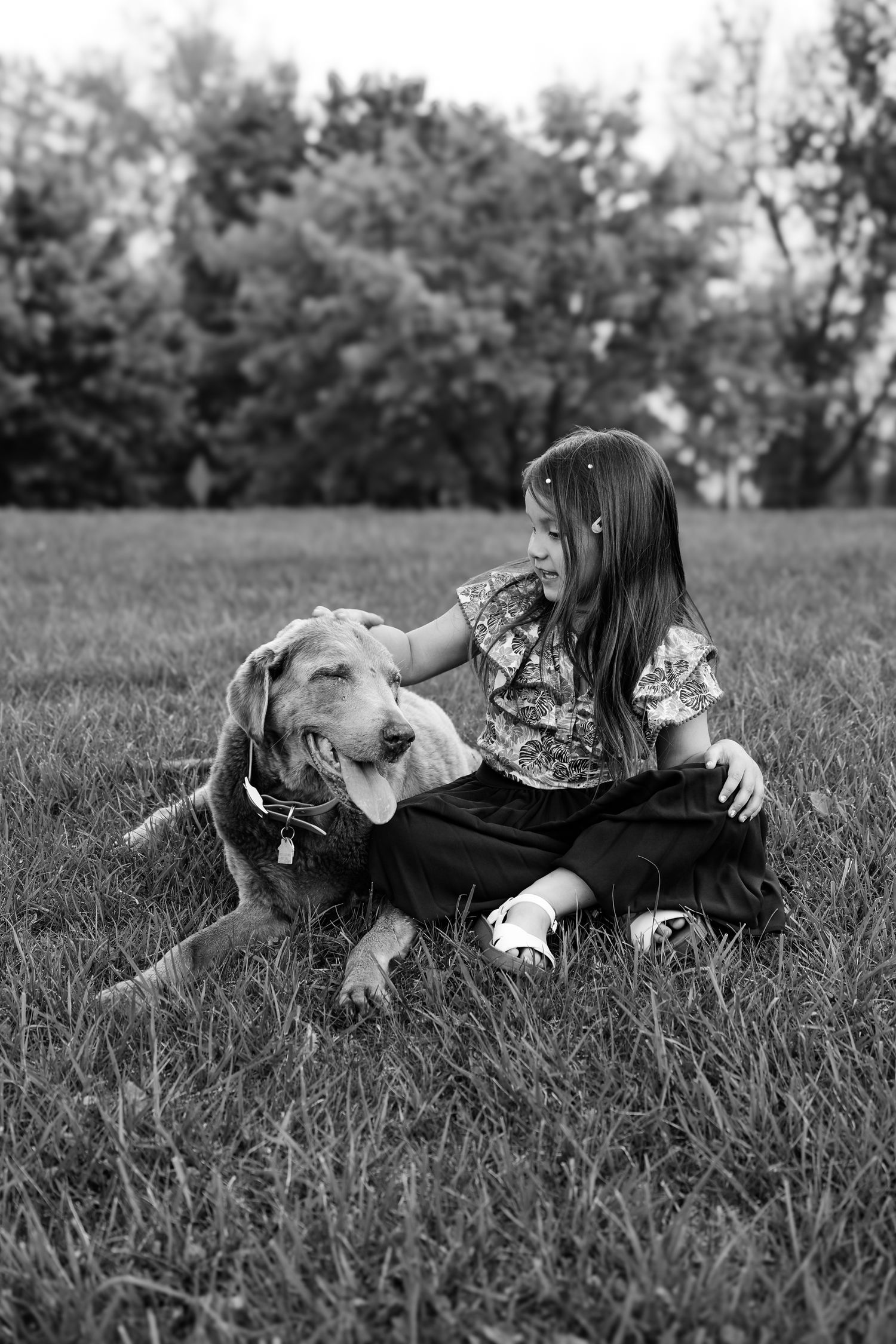 Black and white photo series showing a person lying in tall grass with a dog, creating an intimate outdoor portrait.