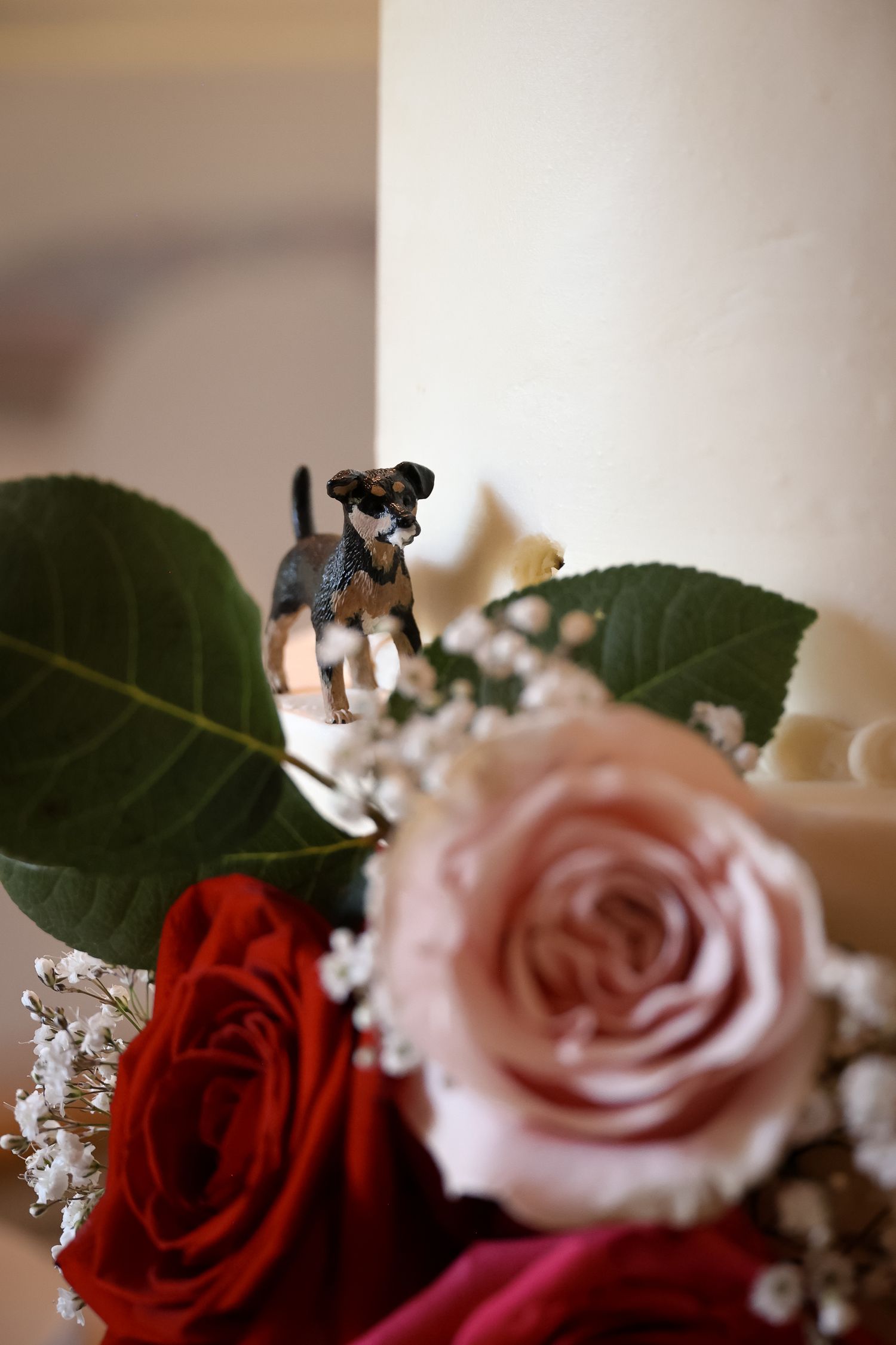 Close-up view of pink and red roses with baby's breath flowers in a romantic wedding bouquet arrangement.