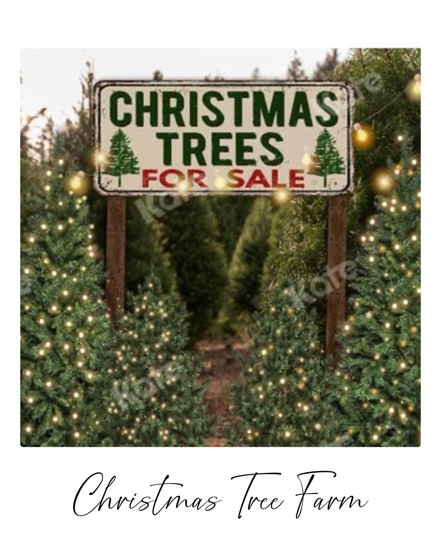 Illuminated Christmas trees on display at a tree farm with a wooden 'Christmas Trees For Sale' sign at dusk.