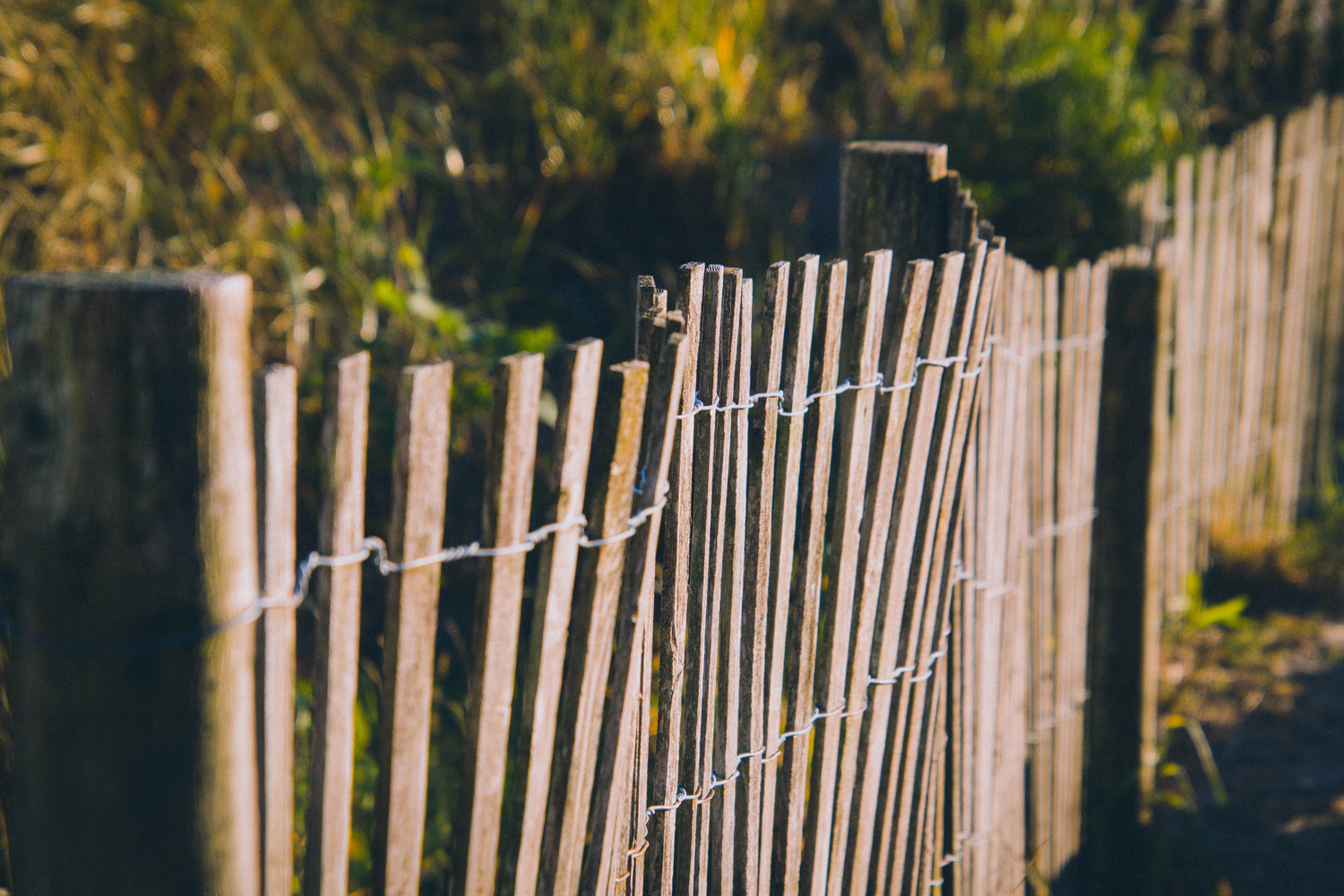 Rustic wooden fence with wire detail in warm sunlight, surrounded by lush green foliage in a natural outdoor setting.