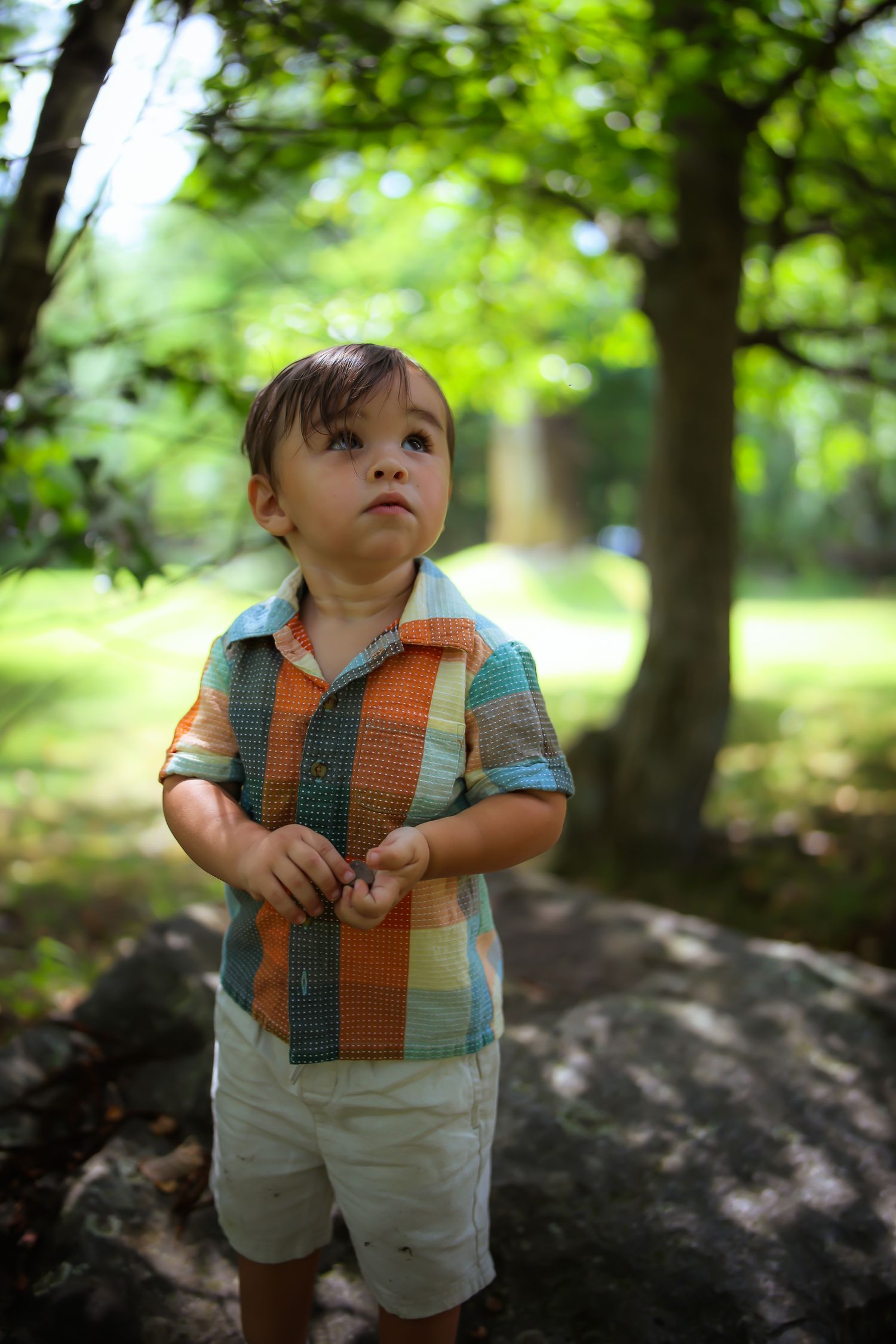 A young child in plaid shirt and khaki shorts looks up curiously while standing in a lush green forest setting.