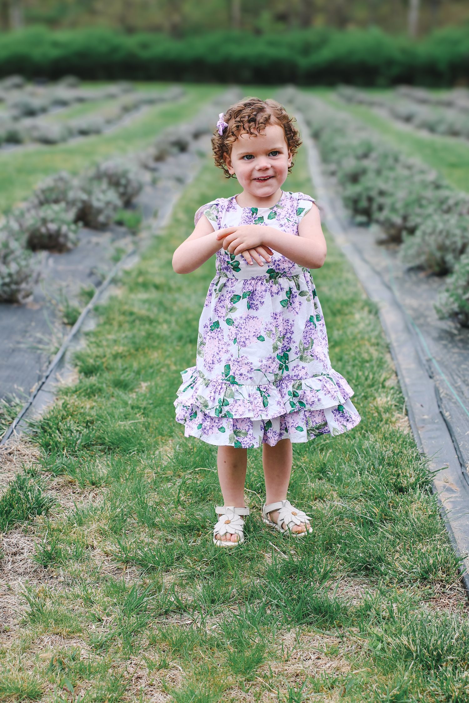 A child in a floral dress stands on a garden path surrounded by lavender plants and green grass.