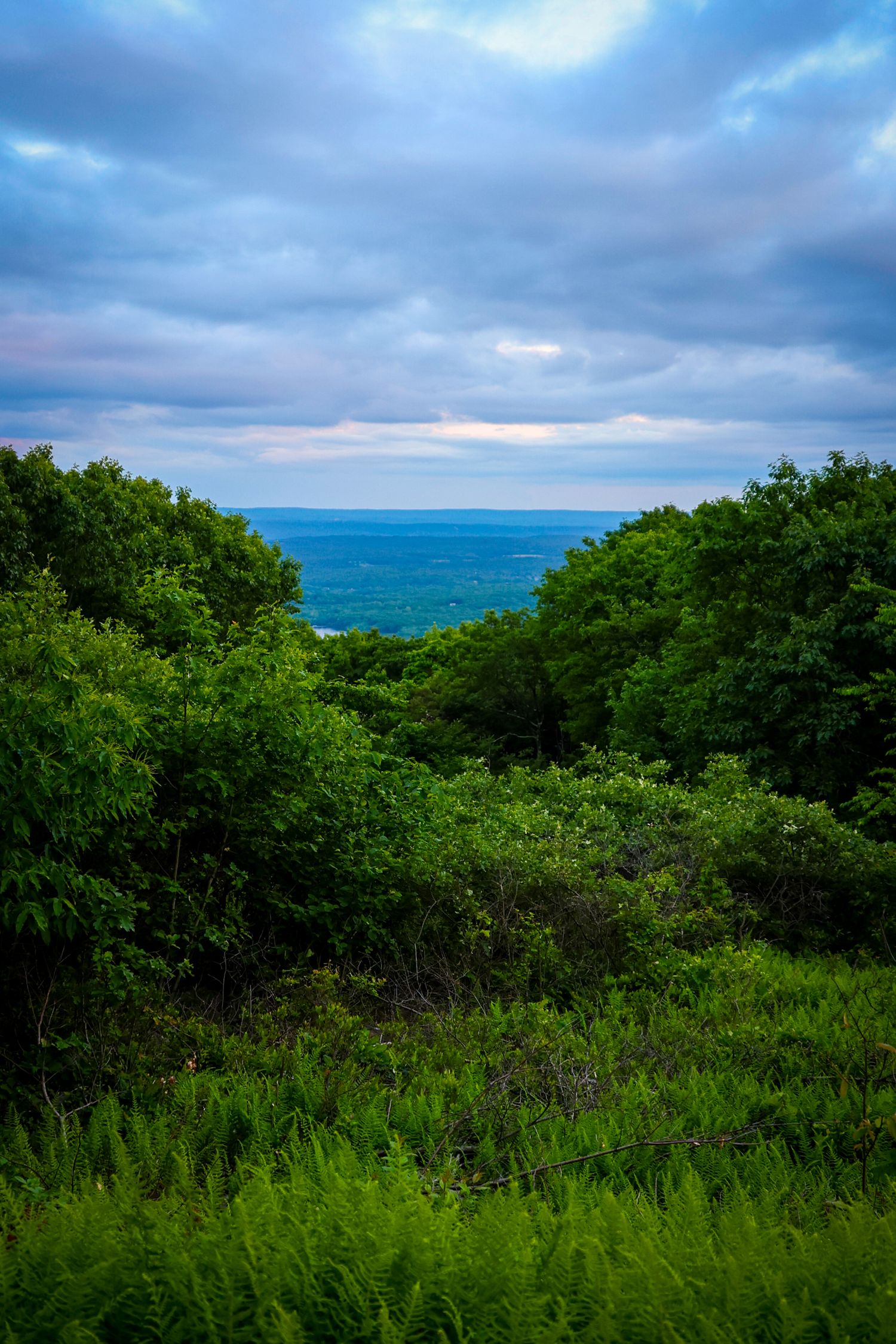 Lush green forest meets the blue ocean horizon under dramatic cloudy skies along the coastline.
