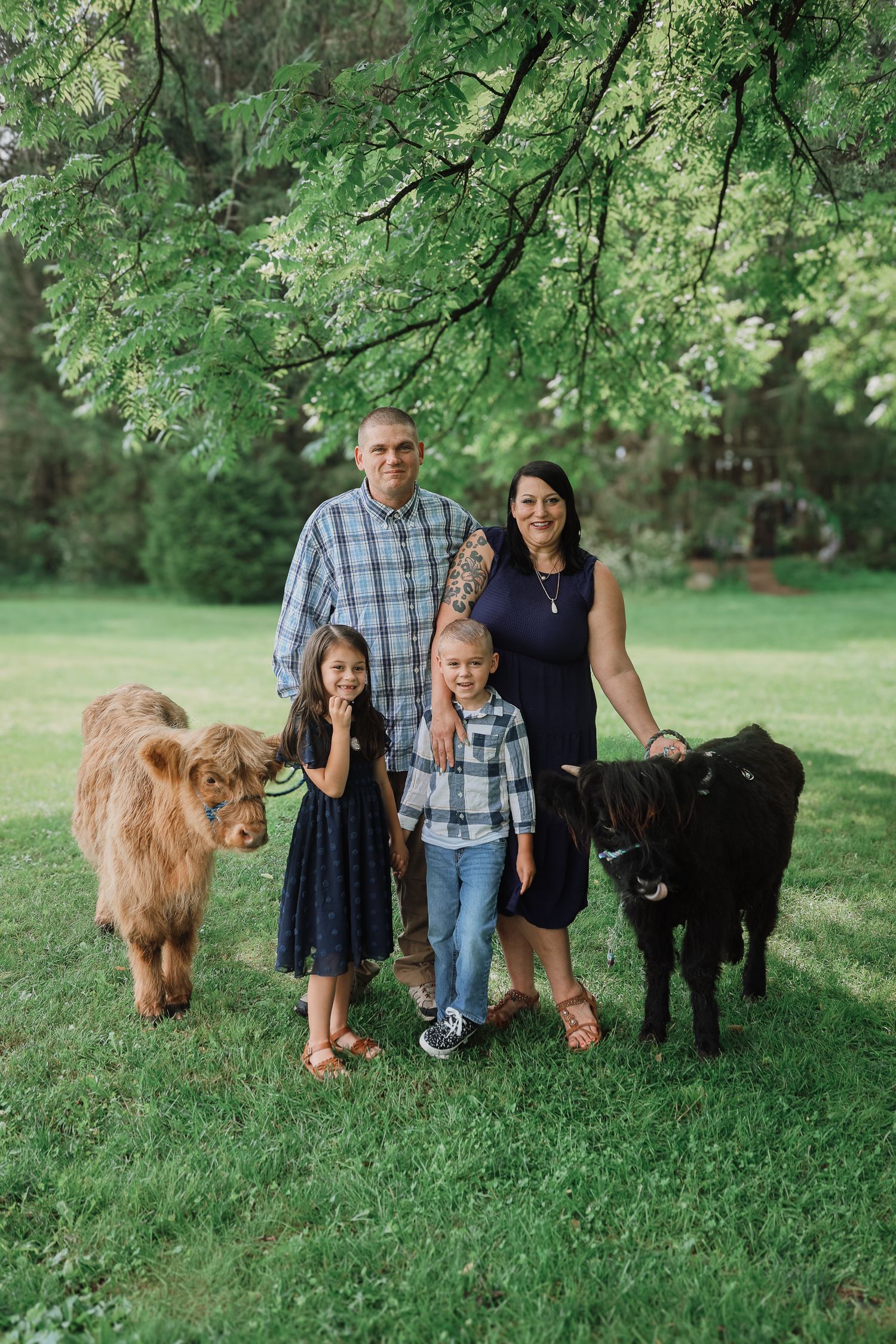 A group stands with their Highland cattle and black dog on lush green grass beneath tall trees in a park setting.