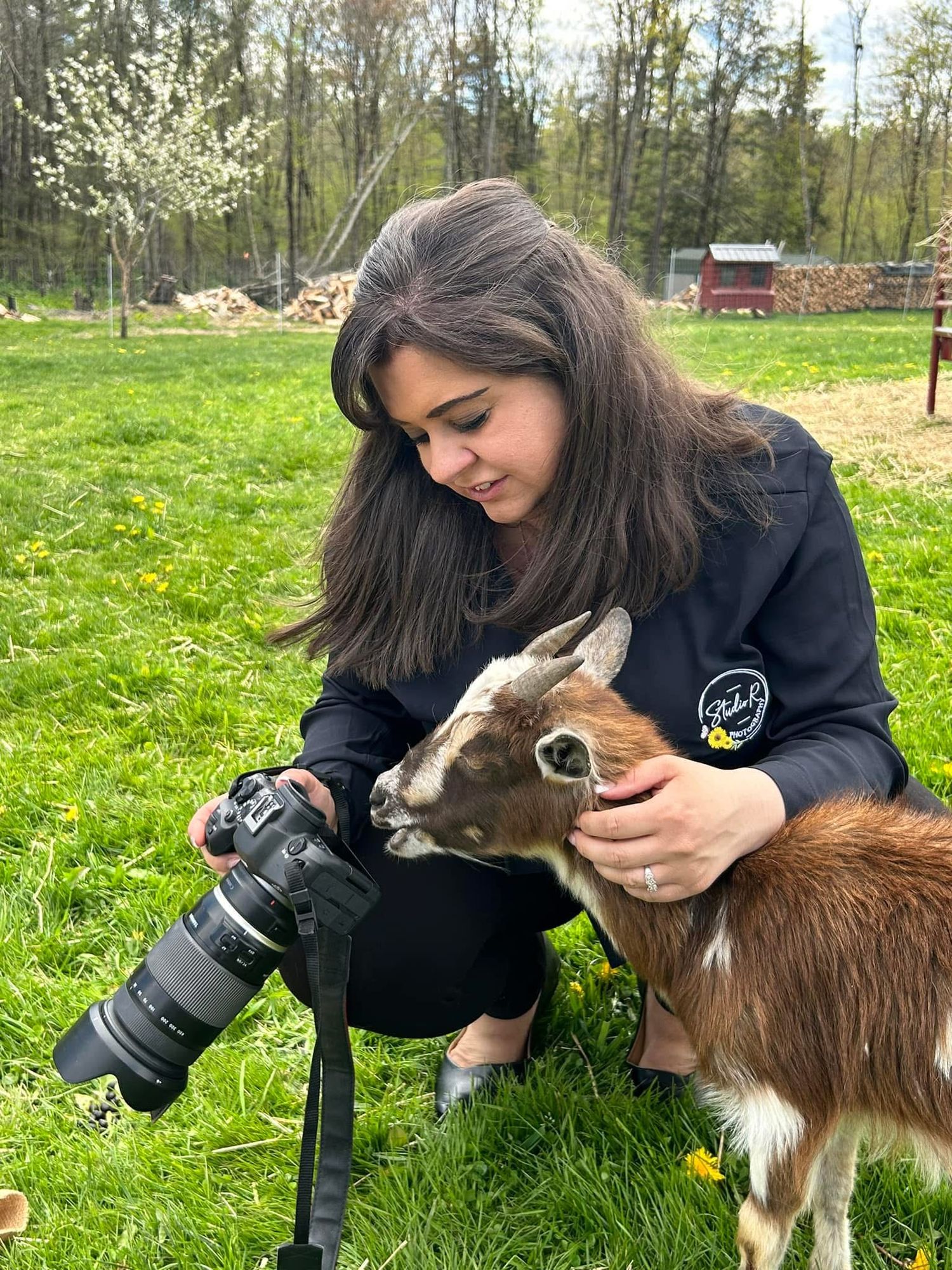 Photographer with camera showing baby goat in green spring meadow setting.