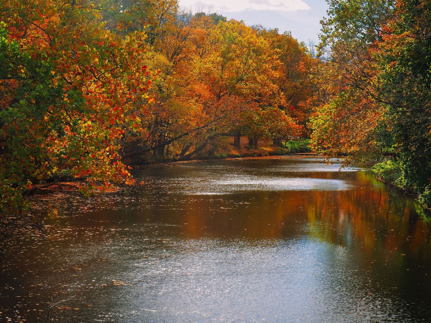 Panoramic autumn landscape of a serene lake surrounded by vibrant orange and red foliage on a sunny day.
