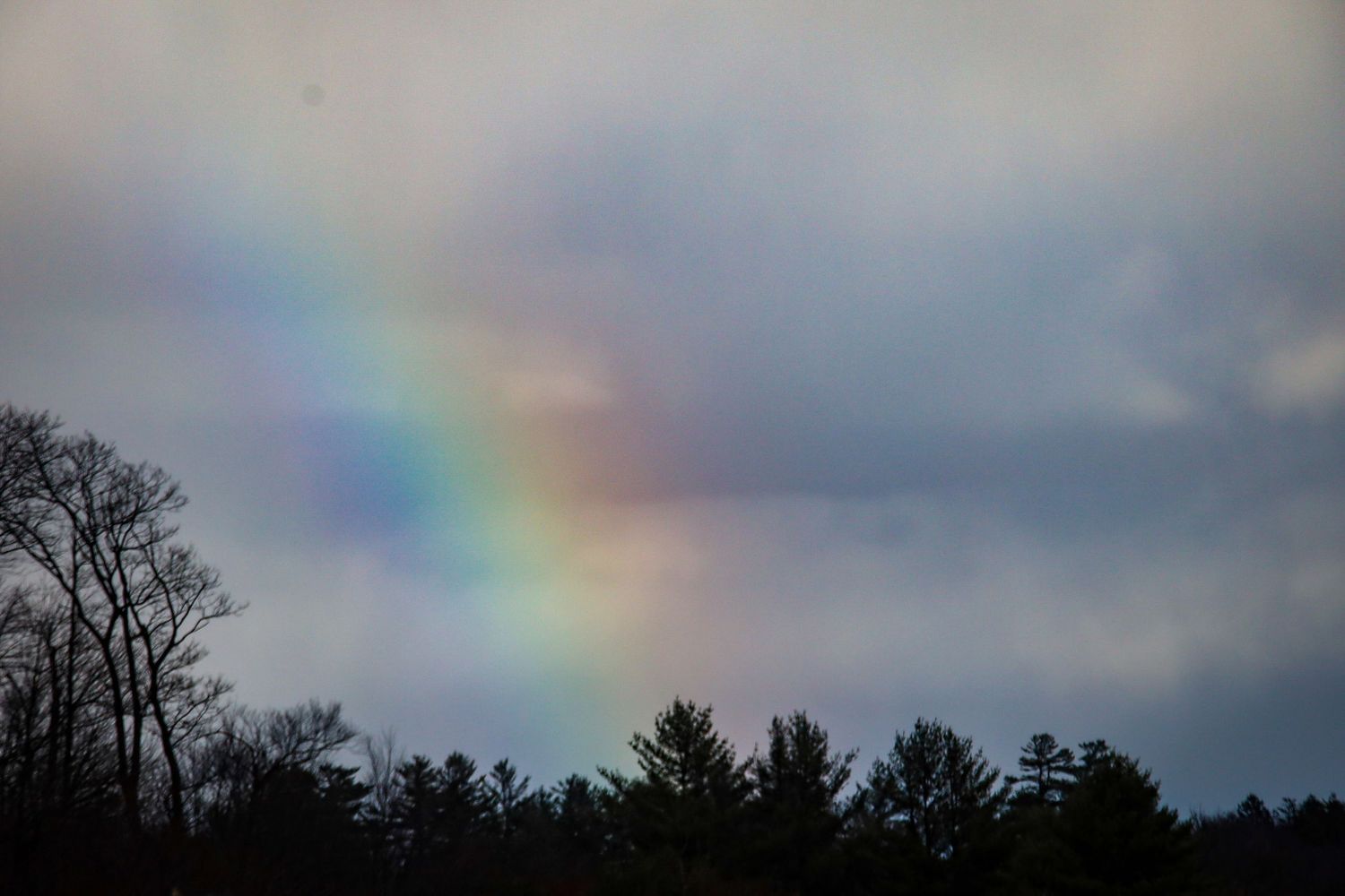 A stunning rainbow arcs across a cloudy sky above silhouetted trees at dusk.
