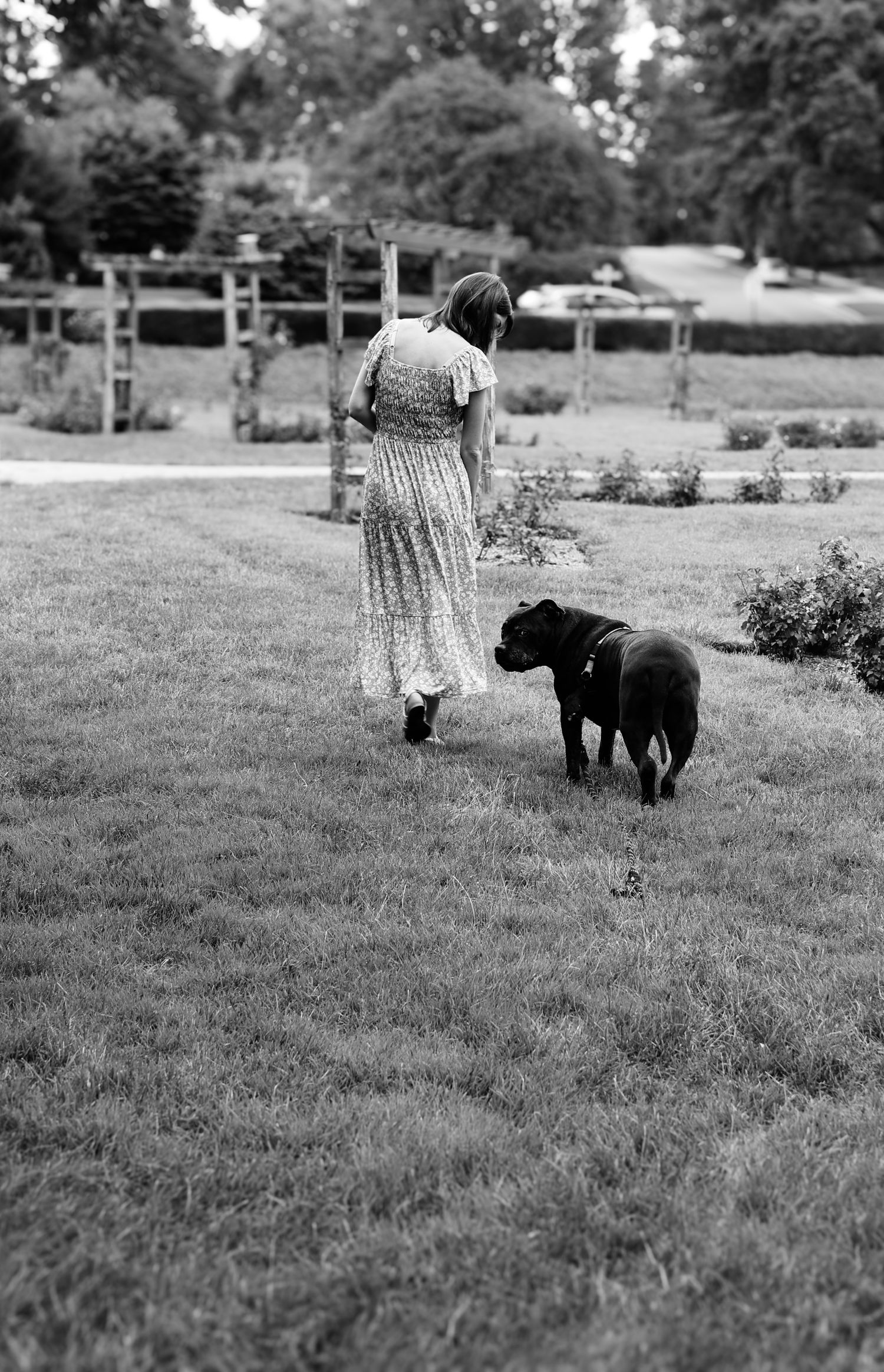 A person in a floral dress walks with a black dog across a grassy field on a summer day.