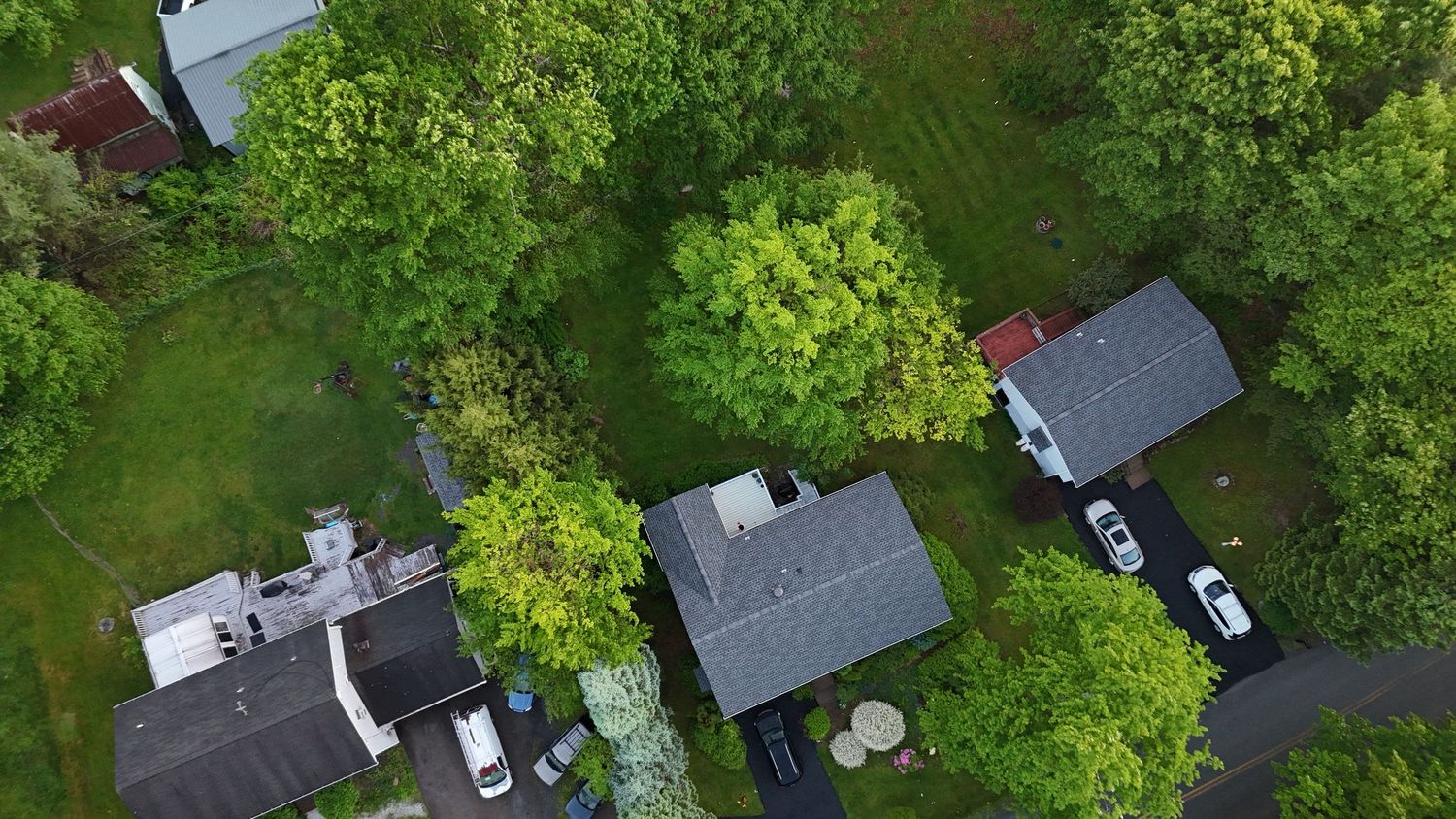Aerial drone view of suburban homes surrounded by lush green trees in a residential neighborhood.