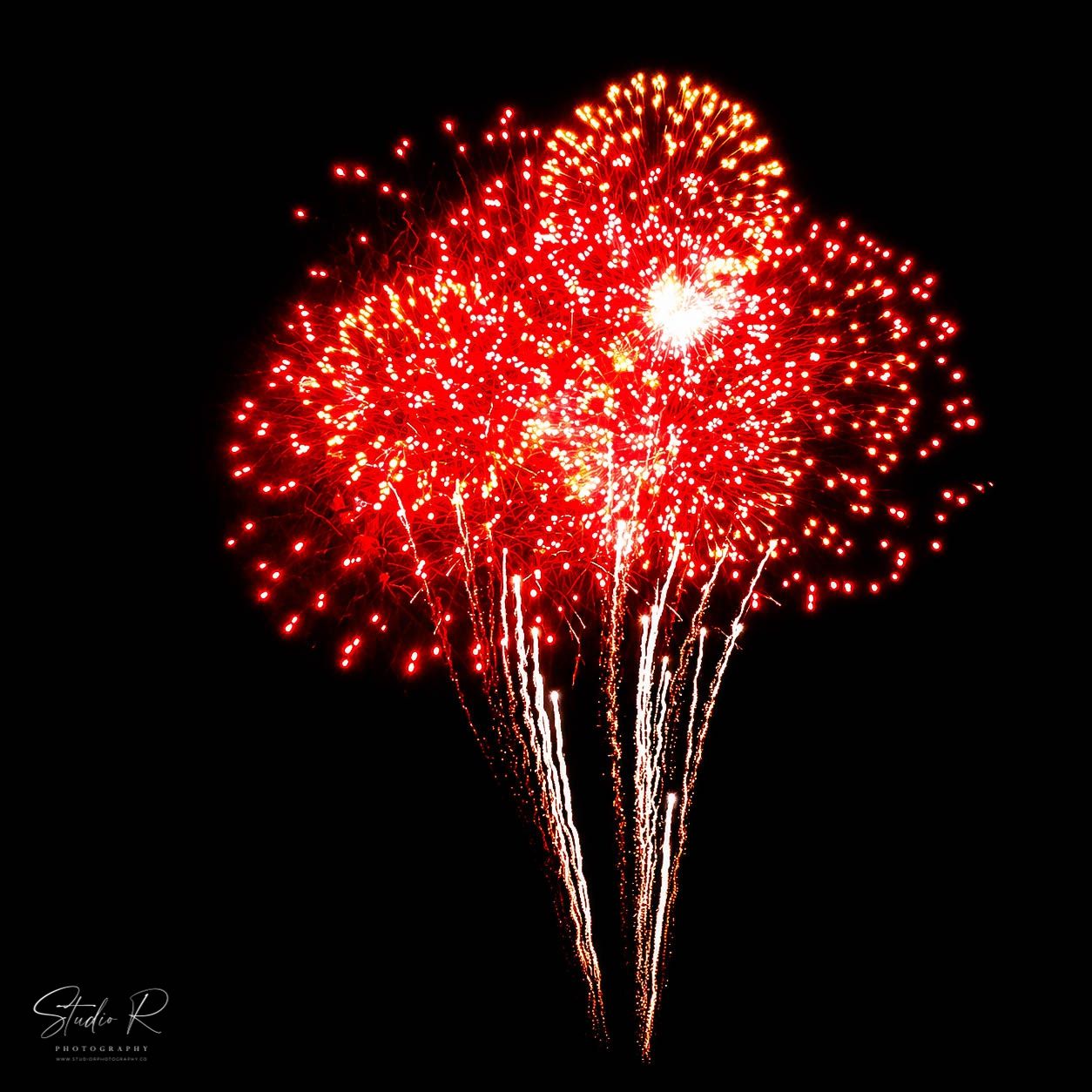 Vibrant red fireworks exploding against a dark night sky, creating a stunning burst of light and color.