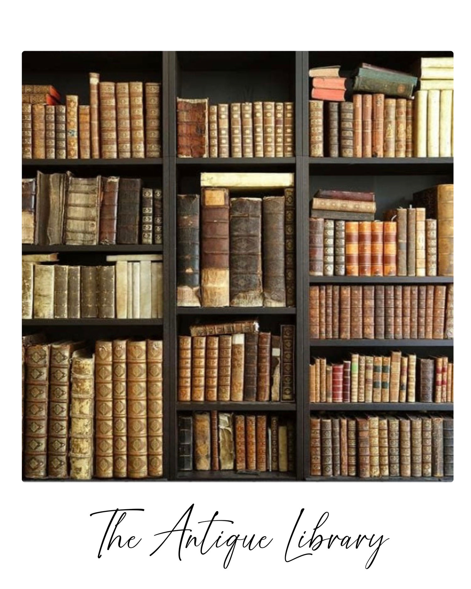 Rows of antique leather-bound books with gold lettering line wooden shelves in a vintage library setting.