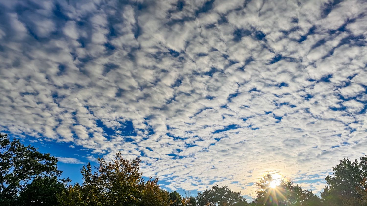 Blue sky filled with scattered altocumulus clouds above autumn trees with sun peeking through at golden hour.