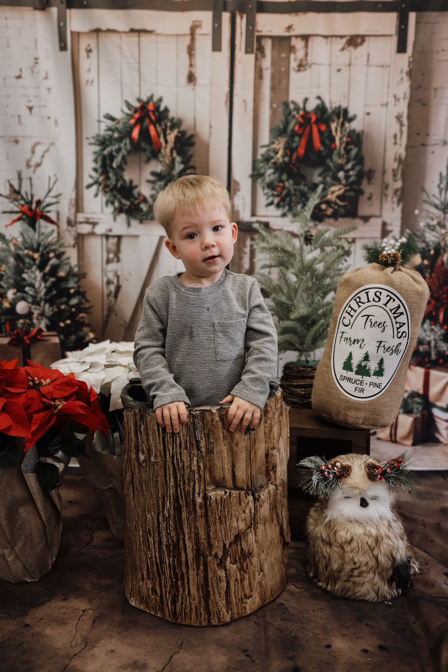 Toddler boy in gray outfit standing in a wooden log stump amid Christmas decorations, wreaths, and a festive owl figurine.