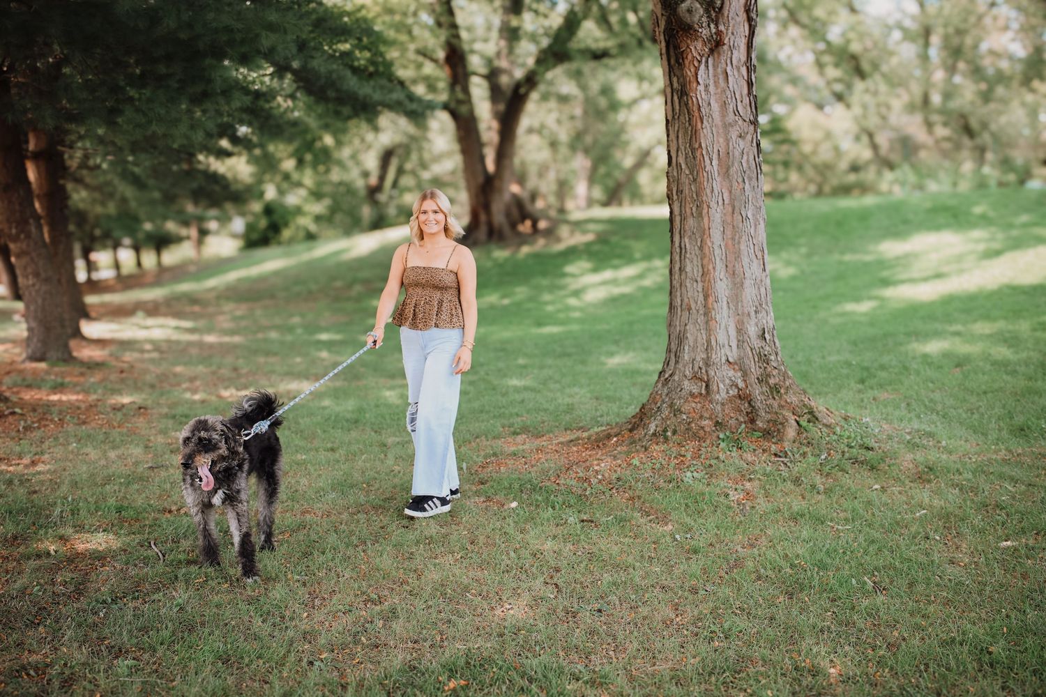 A person walks a large gray dog through a serene park setting with green grass and tall trees.
