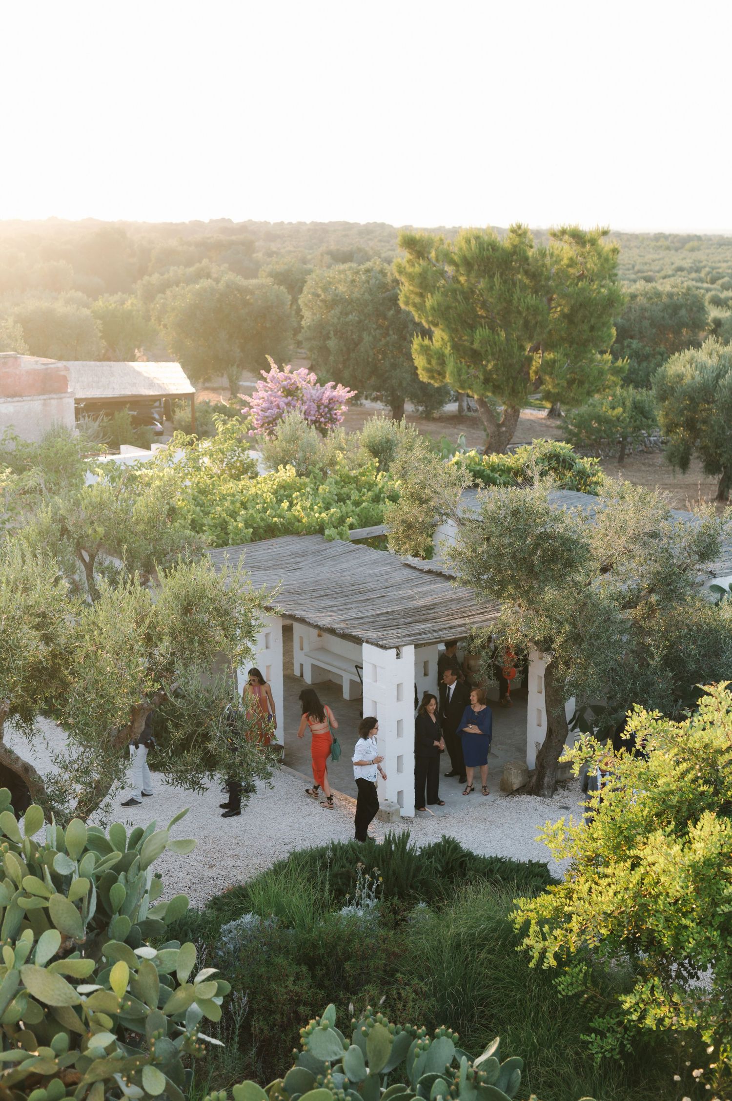 Rustic white adobe building with terrace nestled among desert landscaping and cacti at golden hour.
