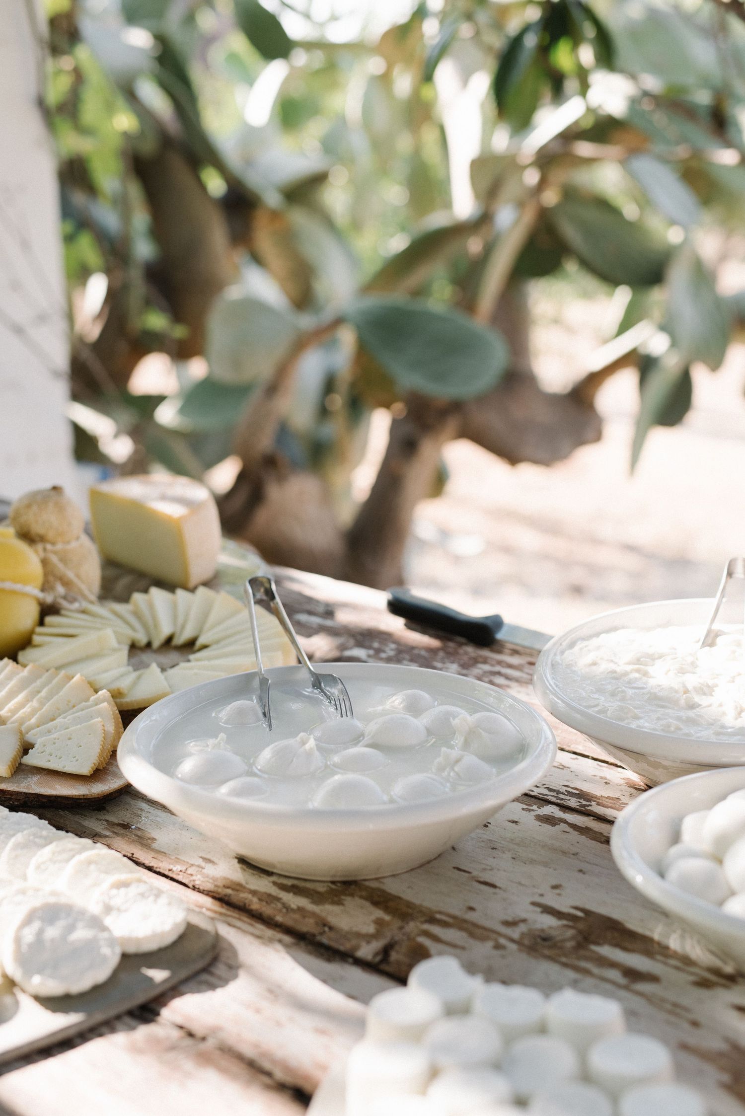 White ceramic bowls and plates arranged on rustic wooden table with eucalyptus branches in natural outdoor setting.