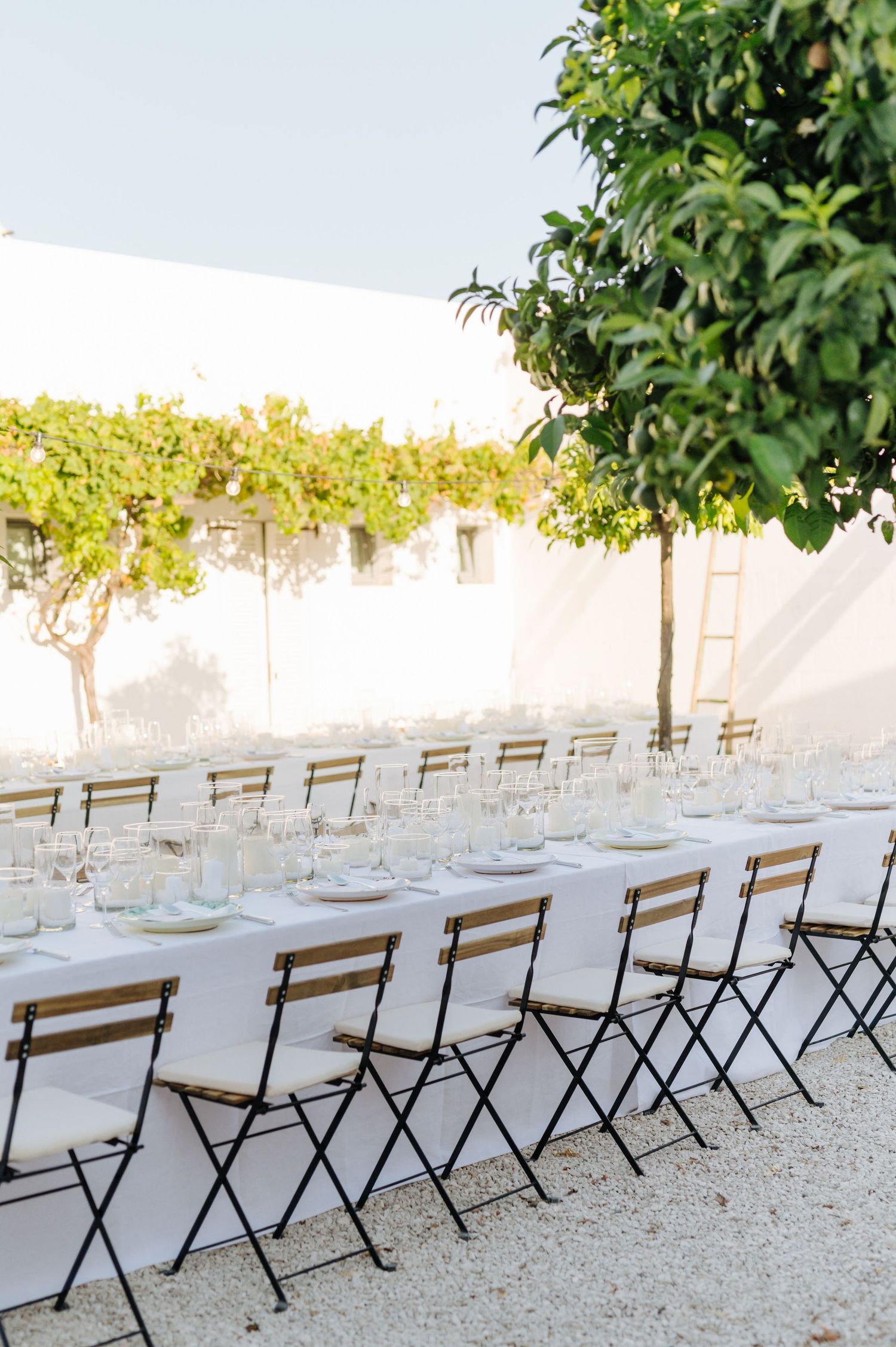 Long rows of white tables and wooden chairs set up for an outdoor event in a garden setting with overhanging trees.