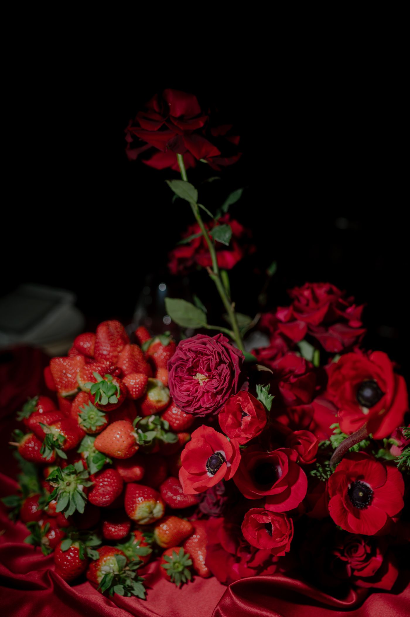 Dark and moody floral composition featuring vibrant red ranunculus flowers against a black background.
