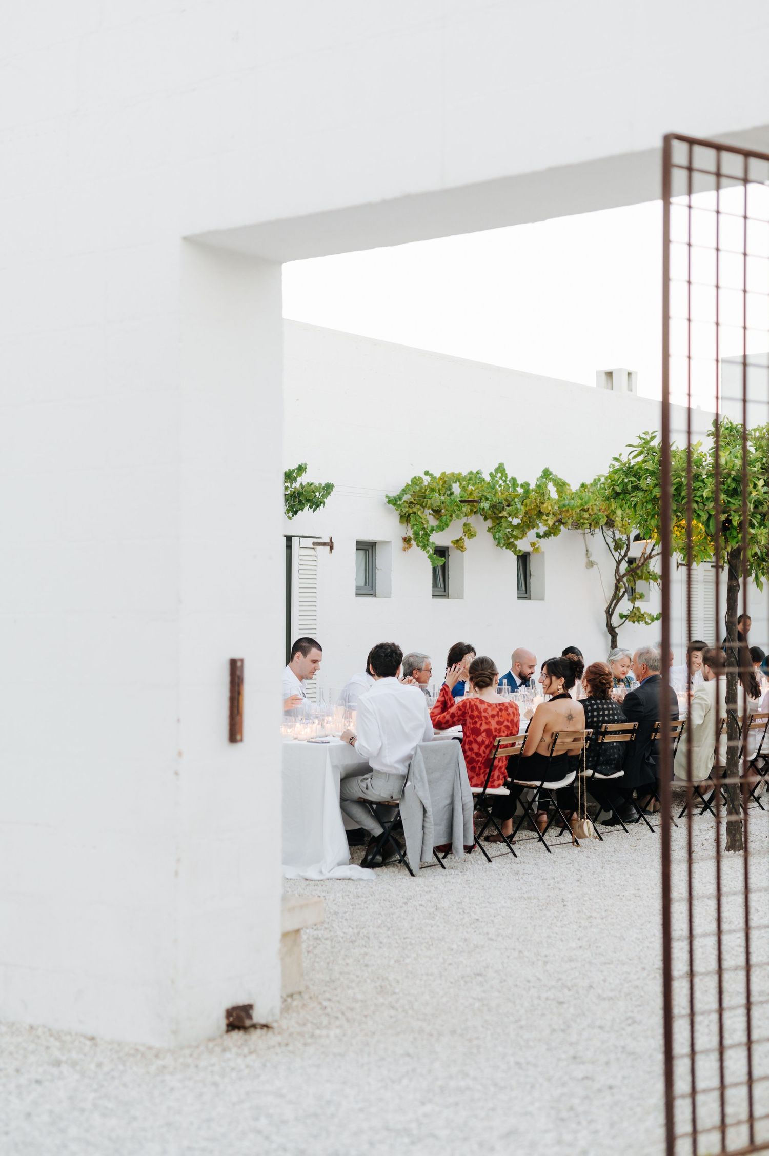 A group of people dining outdoors at a white-walled venue with climbing vines and a rustic metal gate.