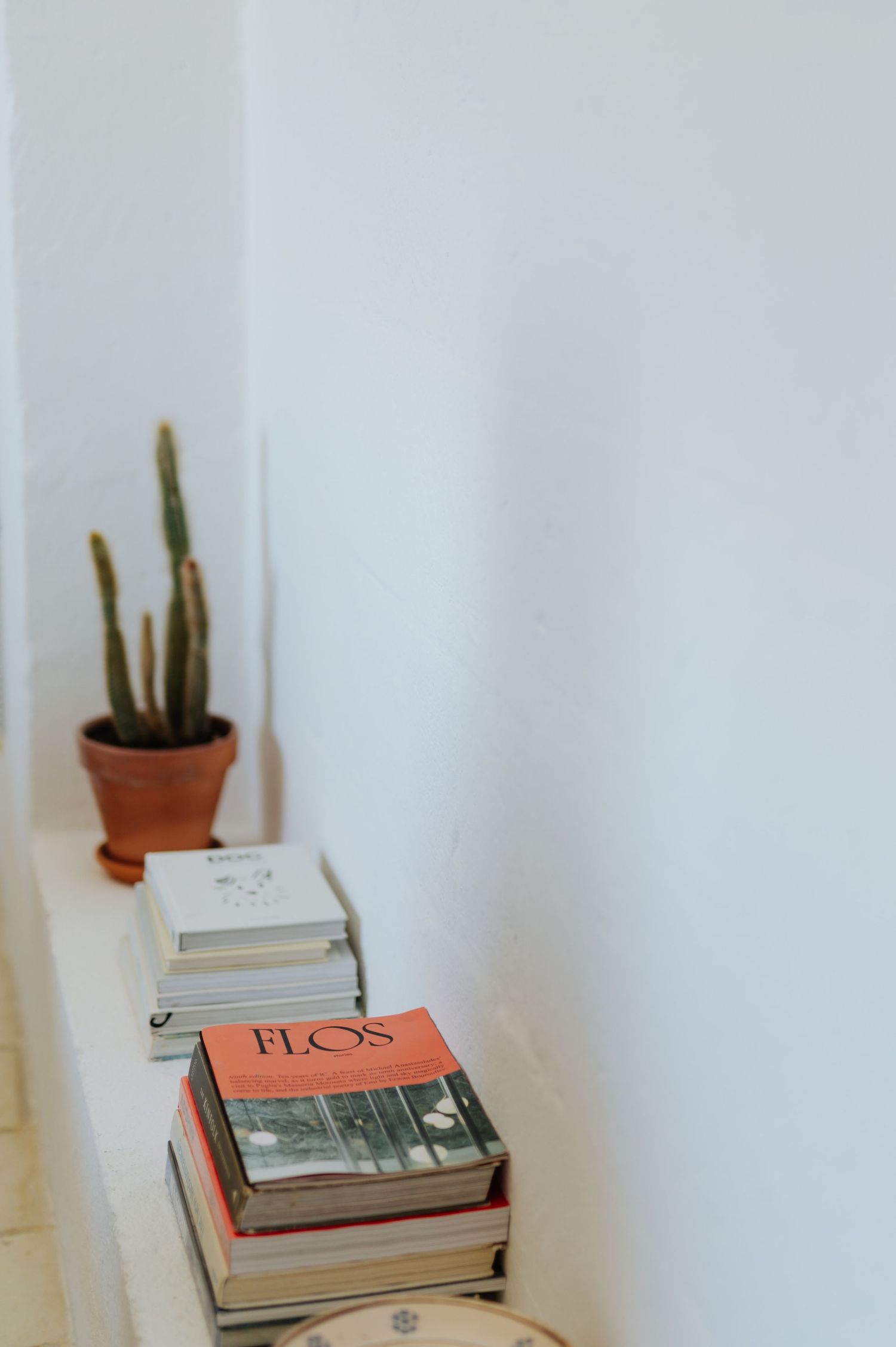 A small potted cactus sits atop a stack of books including 'Flos' against a white wall.