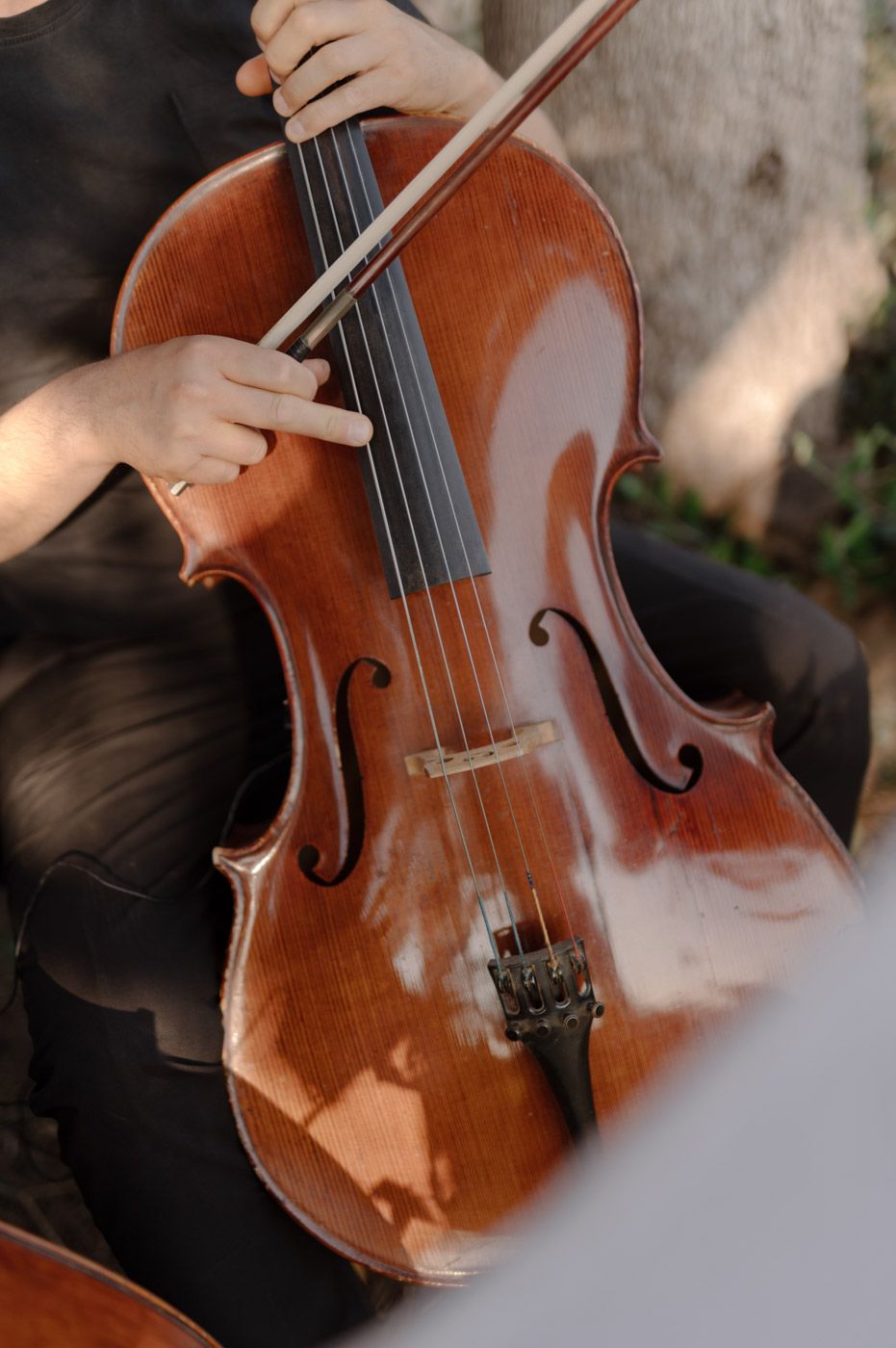 Close-up shots of a wooden violin being played, showing the rich brown wood grain and strings.