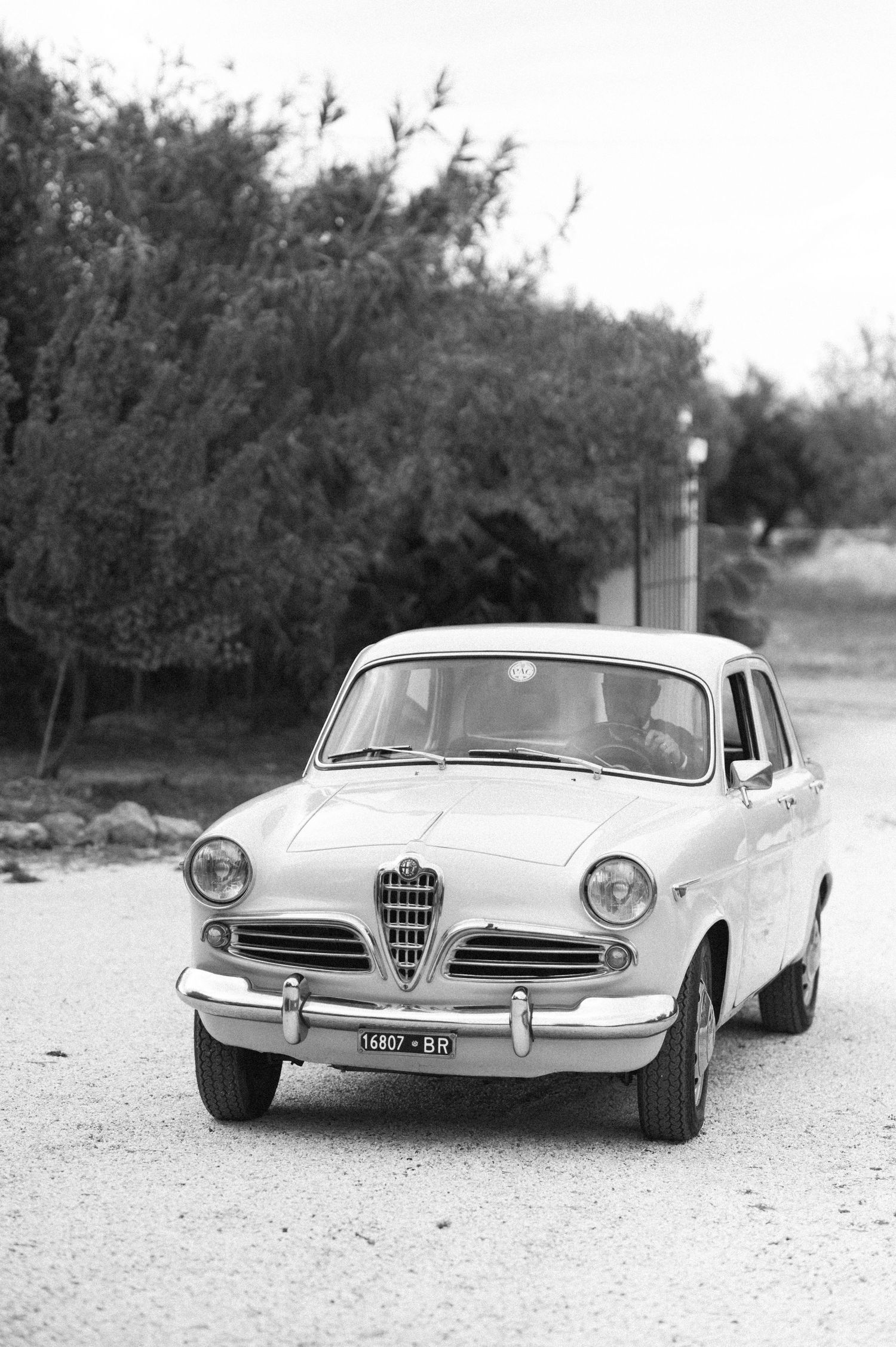 Vintage black and white photograph of classic Alfa Romeo cars lined up on a dirt road.