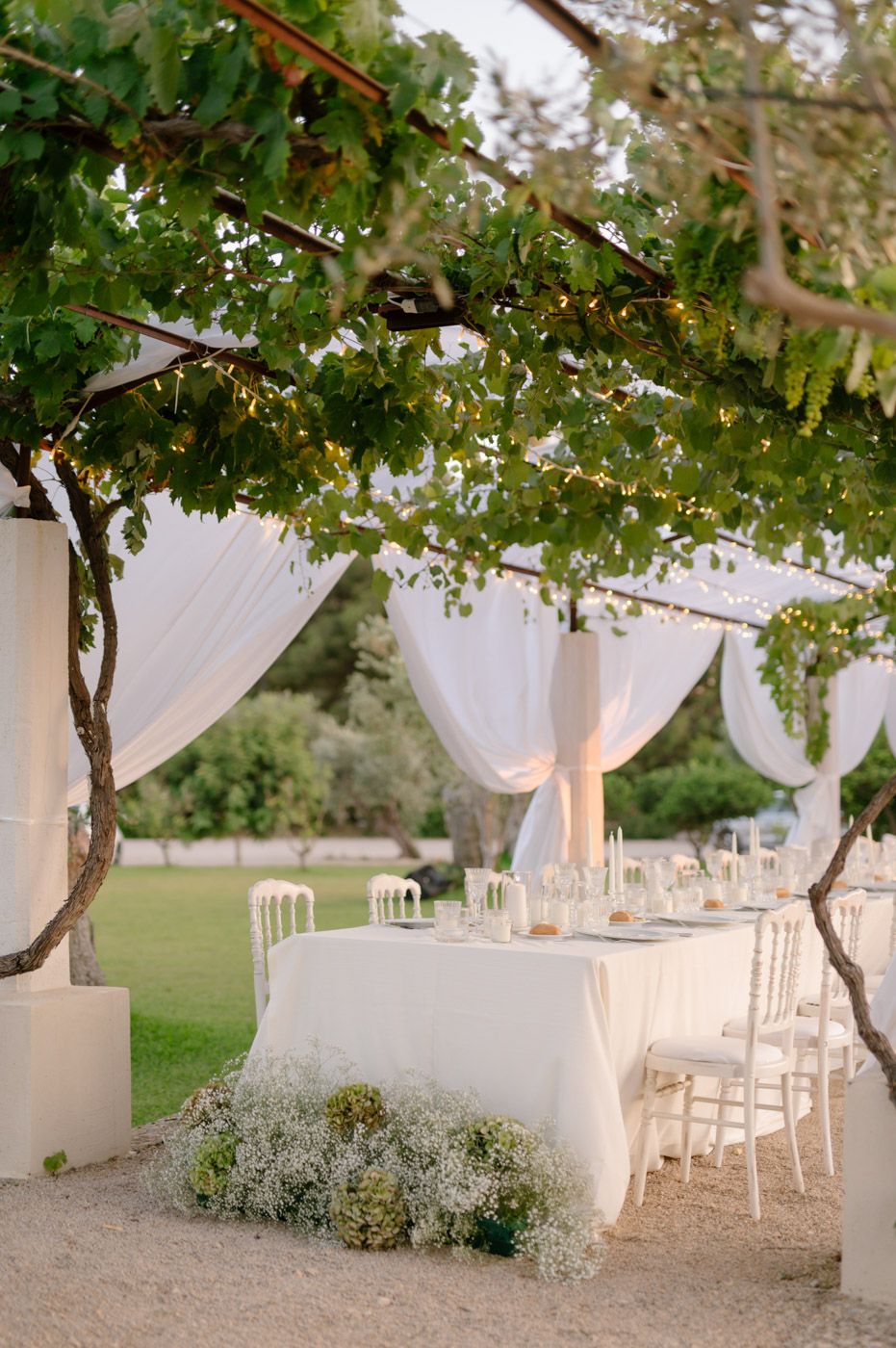 White draped outdoor wedding reception area under natural grape vine canopy.