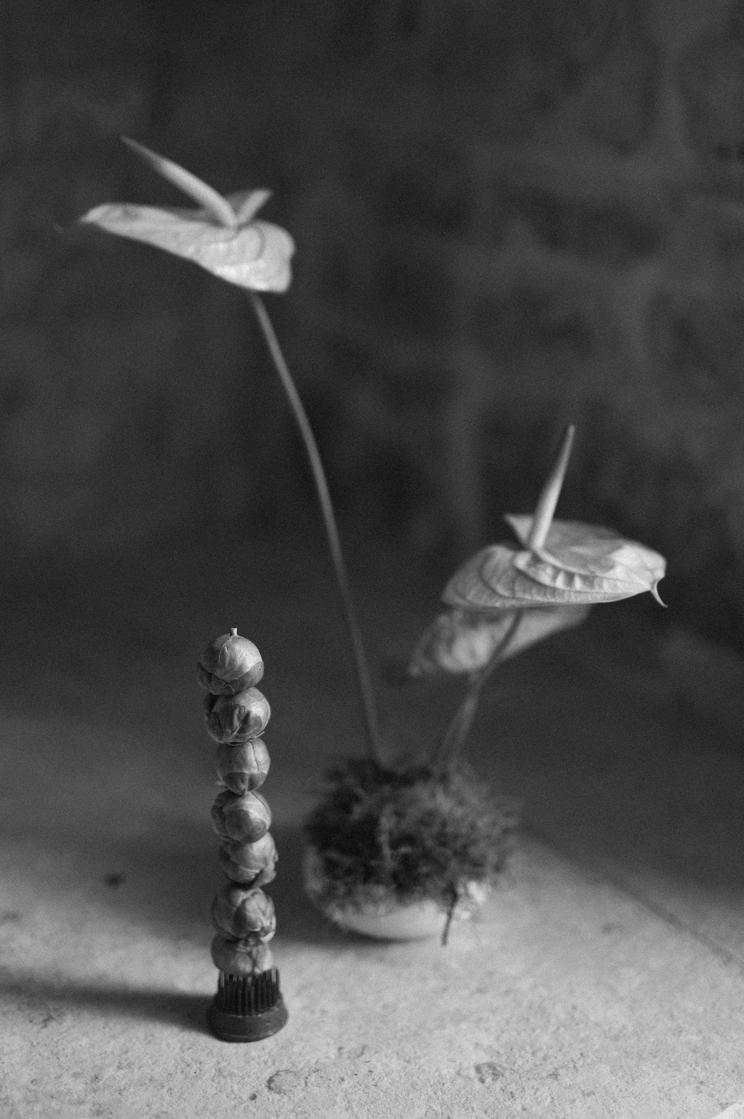 Artistic black and white macro photography of small decorative objects.
