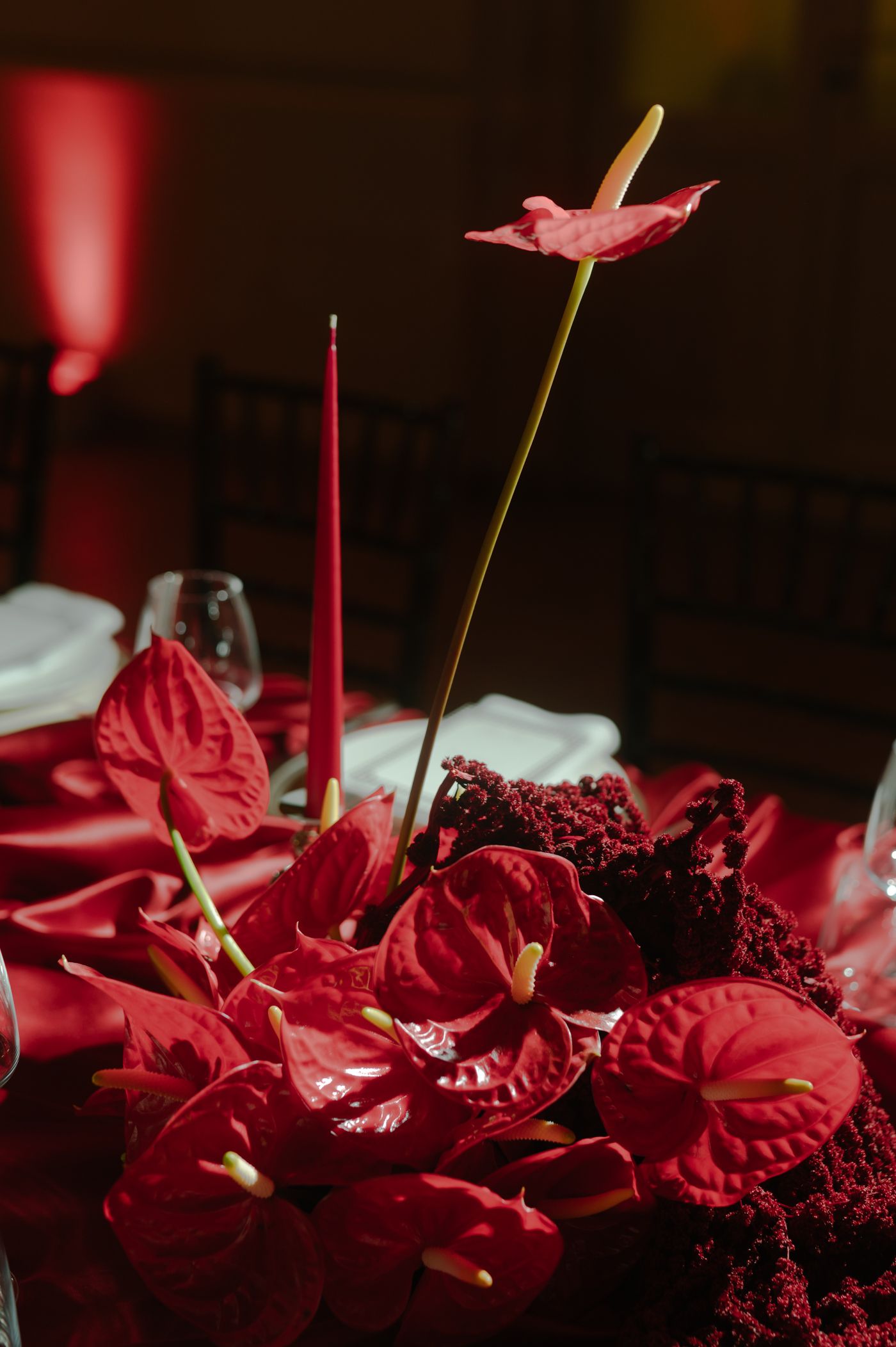 Red anthurium flowers and leaves create a dramatic arrangement against a dark background.