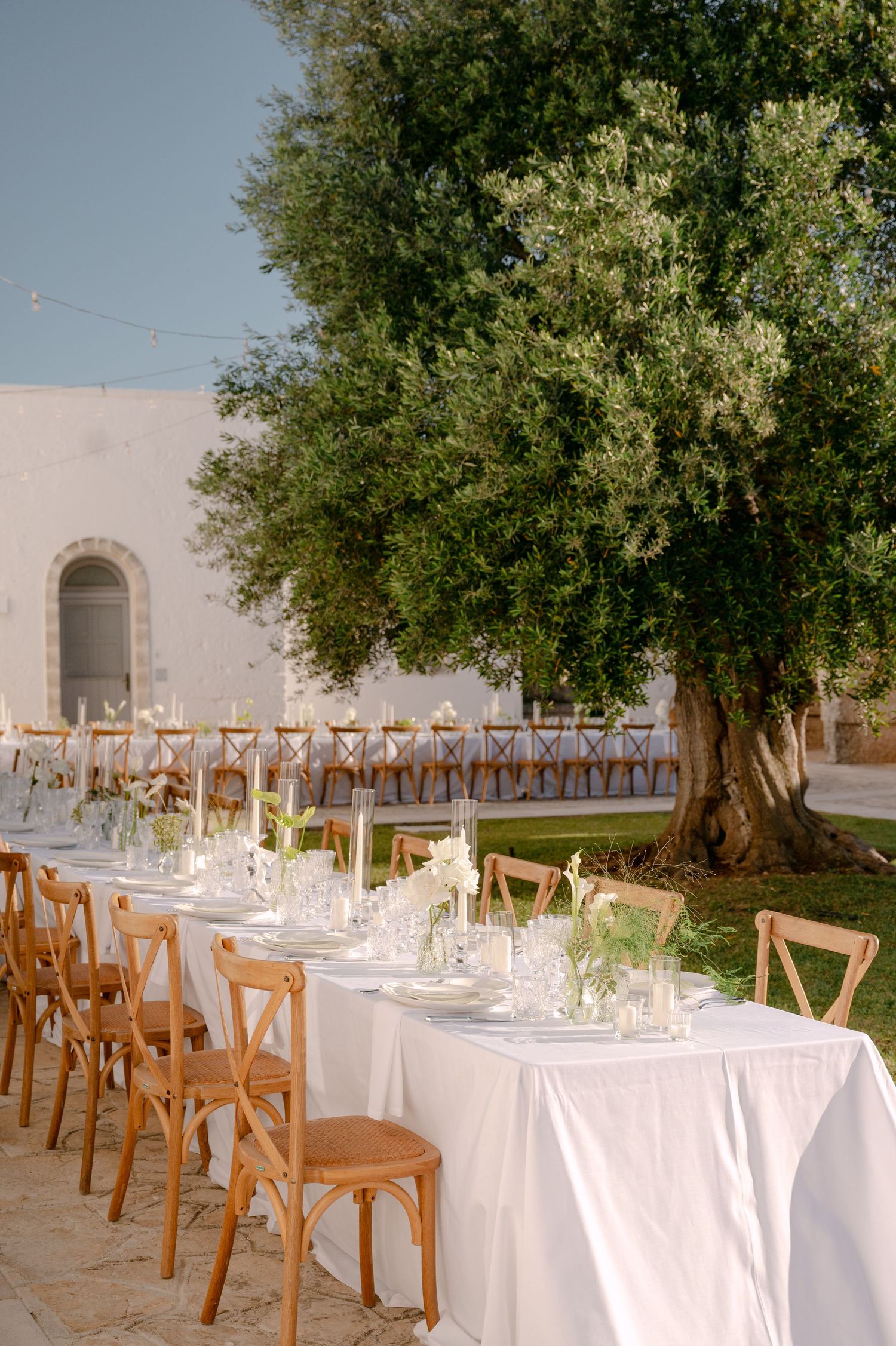 Elegant outdoor wedding reception with long white-draped tables, wooden cross-back chairs, and candles under a large olive tree.