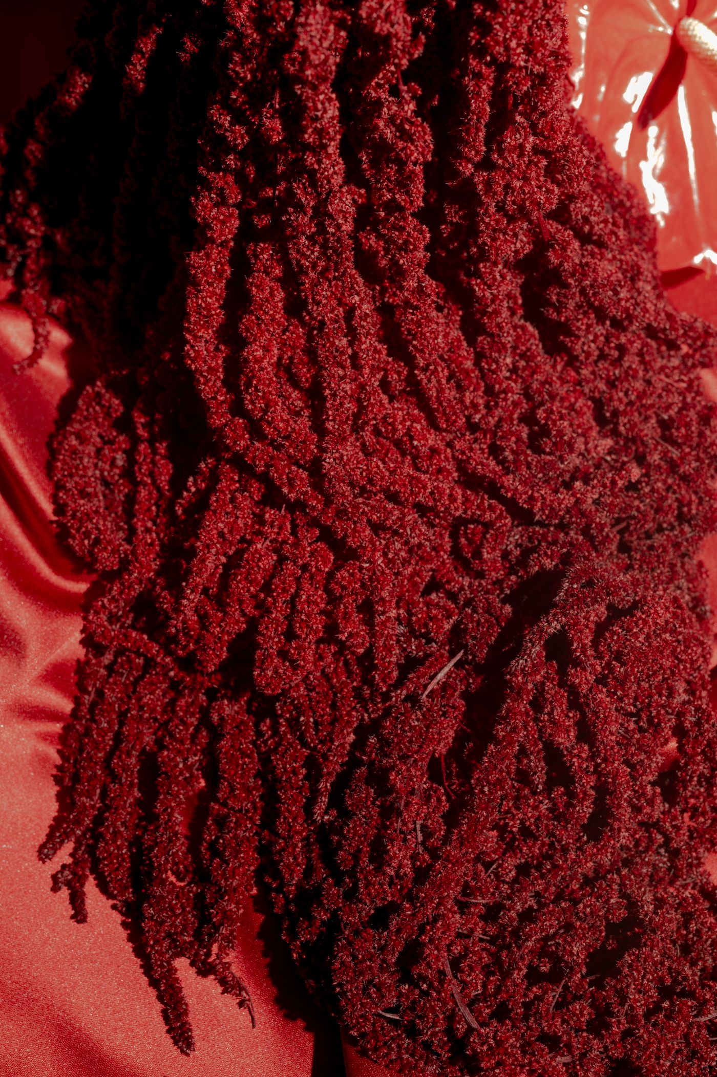 Close-up macro shot of deep red velvet cake crumbs scattered on a shiny red surface.